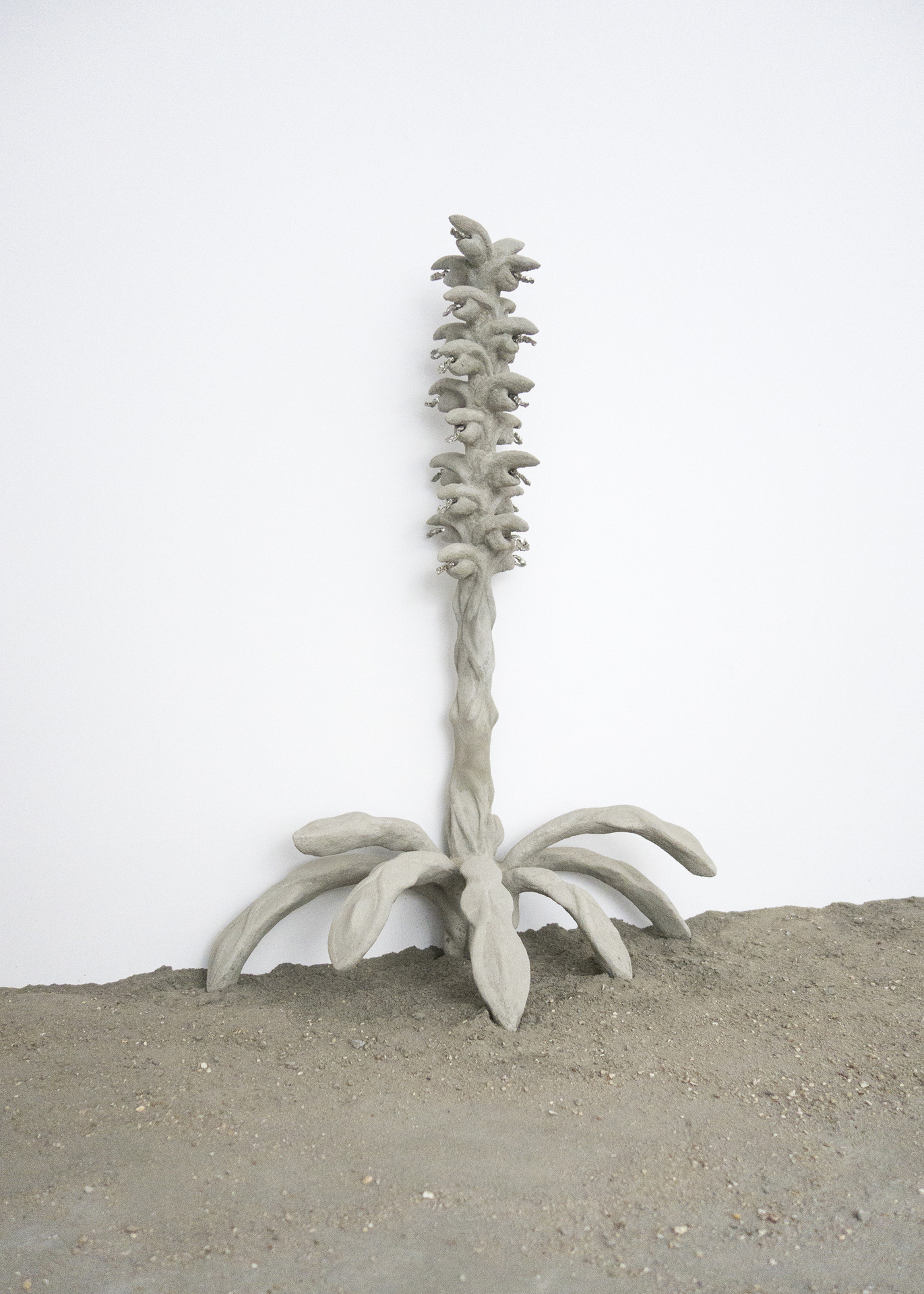 Soft Acanthus, 2021, concrete, steel, tin, 57 x 80,5 x 32 cm, Xolo Cuintle (Romy Texier and Valentin Vie Binet)