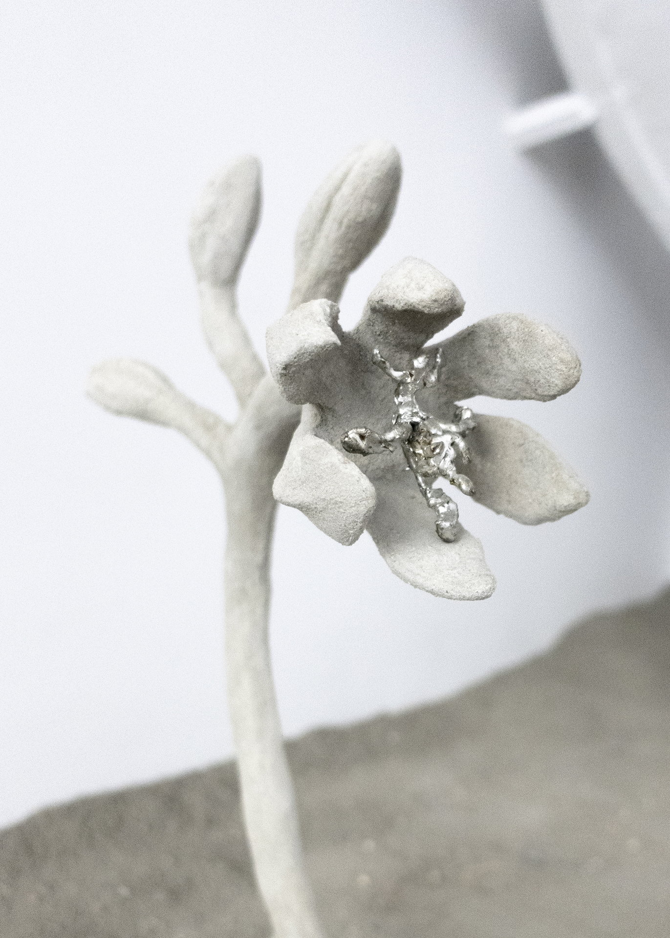 Sprouting Flower, 2021, detail, concrete, steel, tin, 30 x 46 x 50, Xolo Cuintle (Romy Texier and Valentin Vie Binet)
