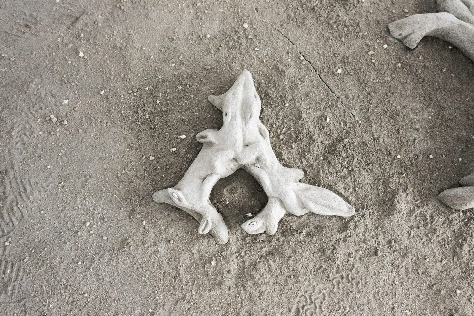 Canine Anastomose, 2021, concrete, 17 x 24 x 4 cm, Xolo Cuintle (Romy Texier and Valentin Vie Binet)