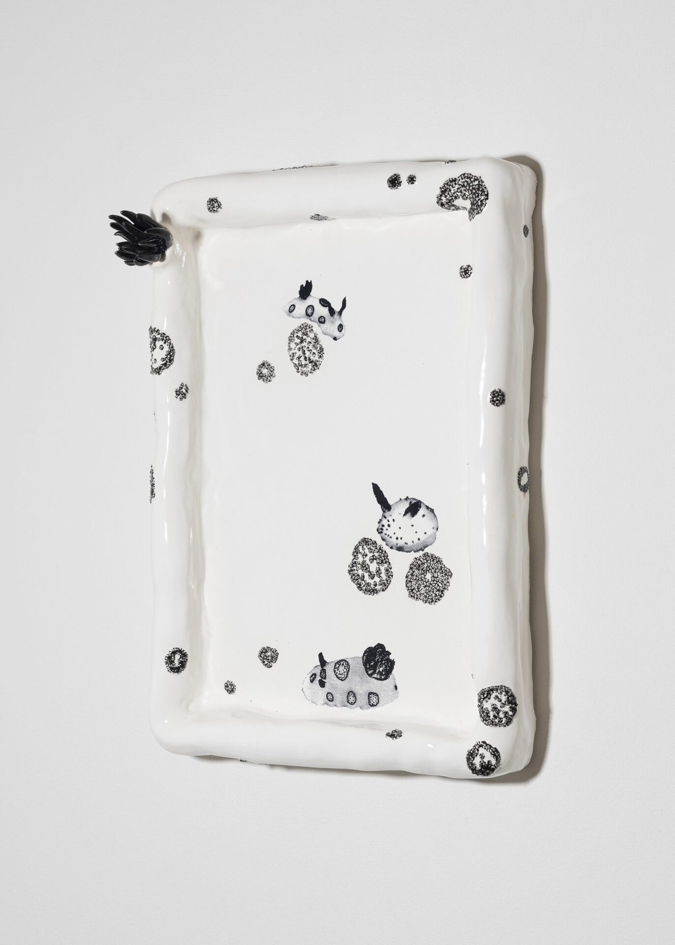 June Fischer, Jorunna Funebris (Seabunny), 2020, Silkscreen on porcelain, 21 x 29.7 cm