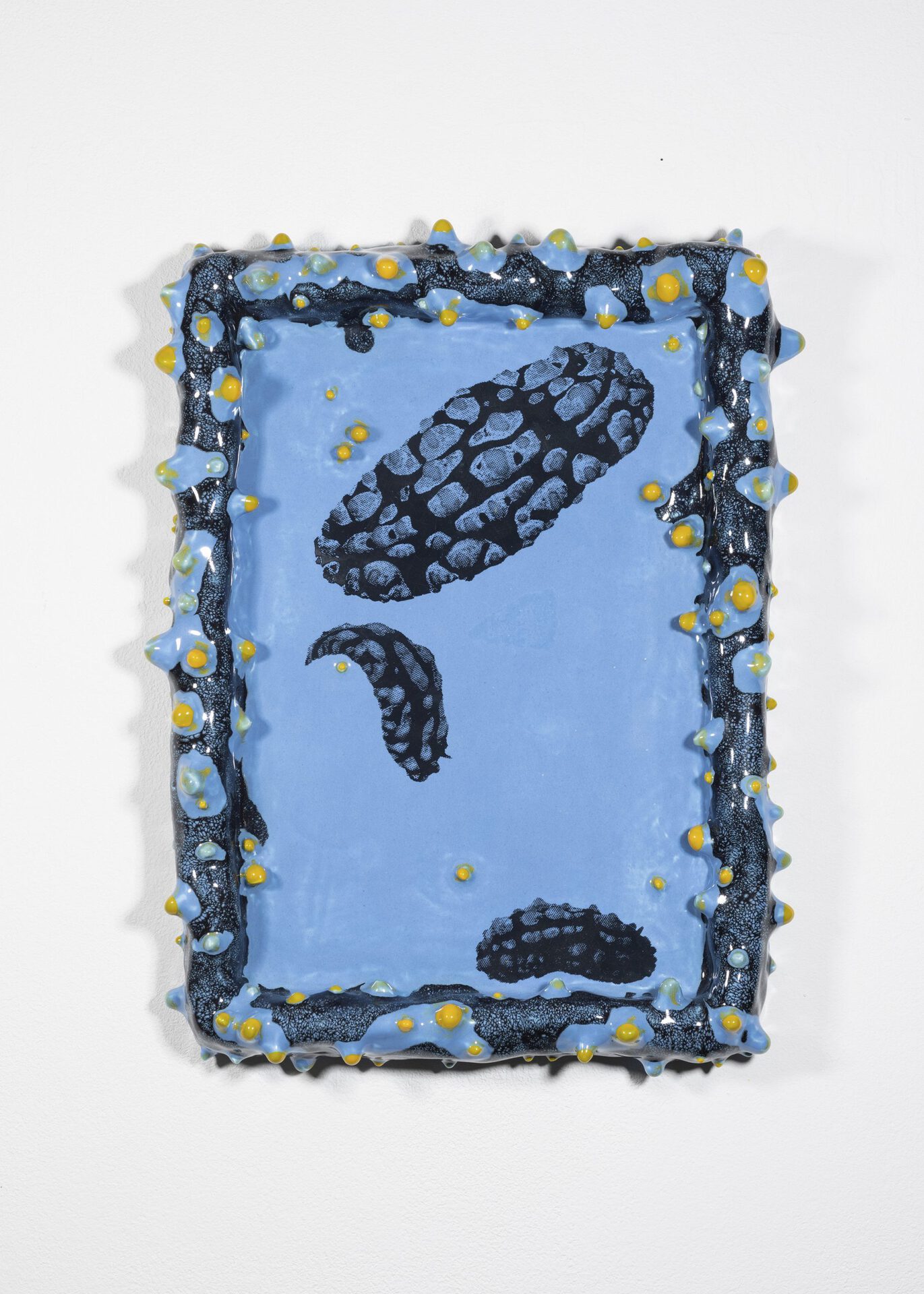 June Fischer, Phyllidia Varicosa, 2020, Silkscreen on porcelain, 21 x 29.7 cm