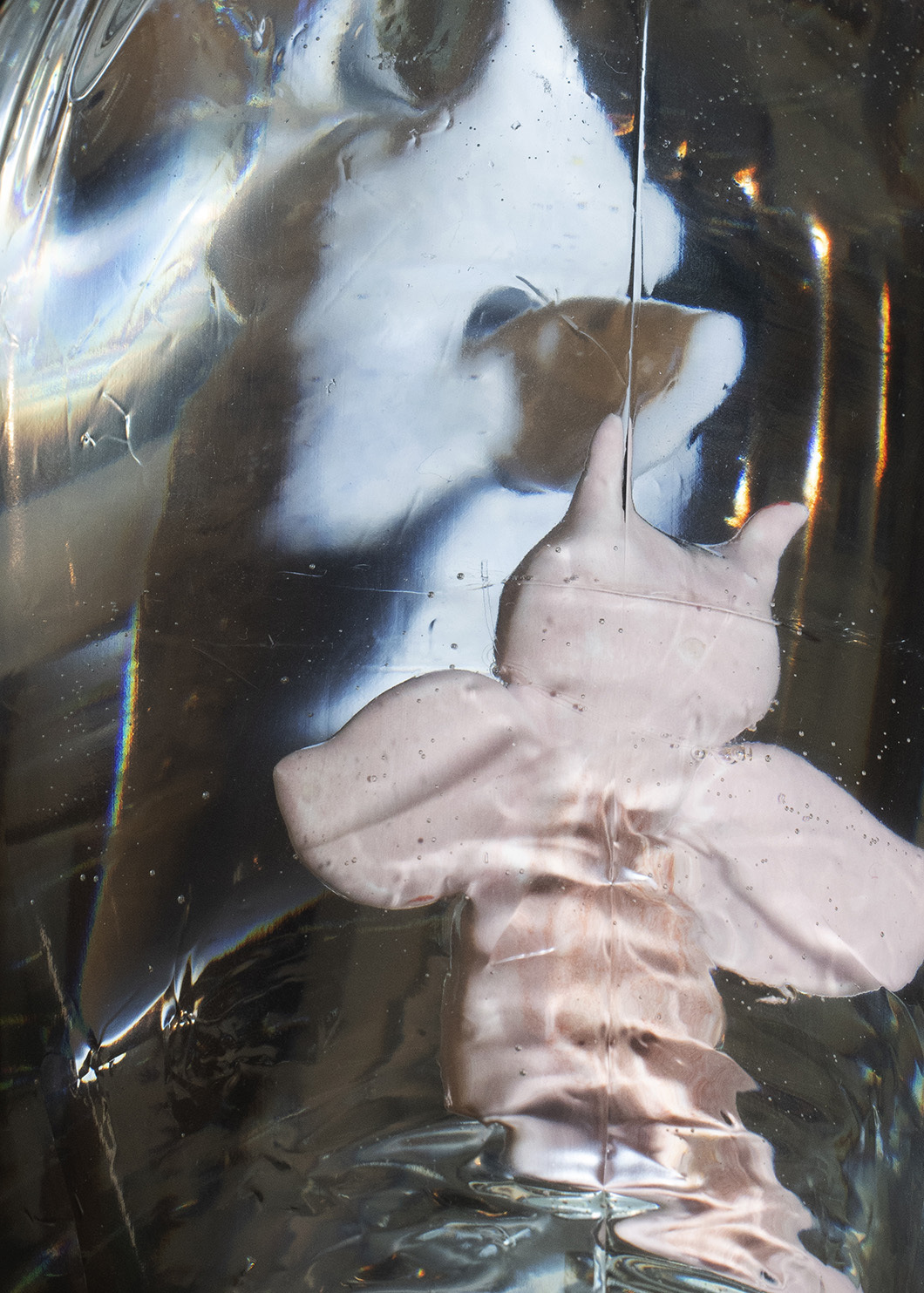 June Fischer, Plasticus, 2021, Porcelain, Epoxy resin, 15 x 27 cm