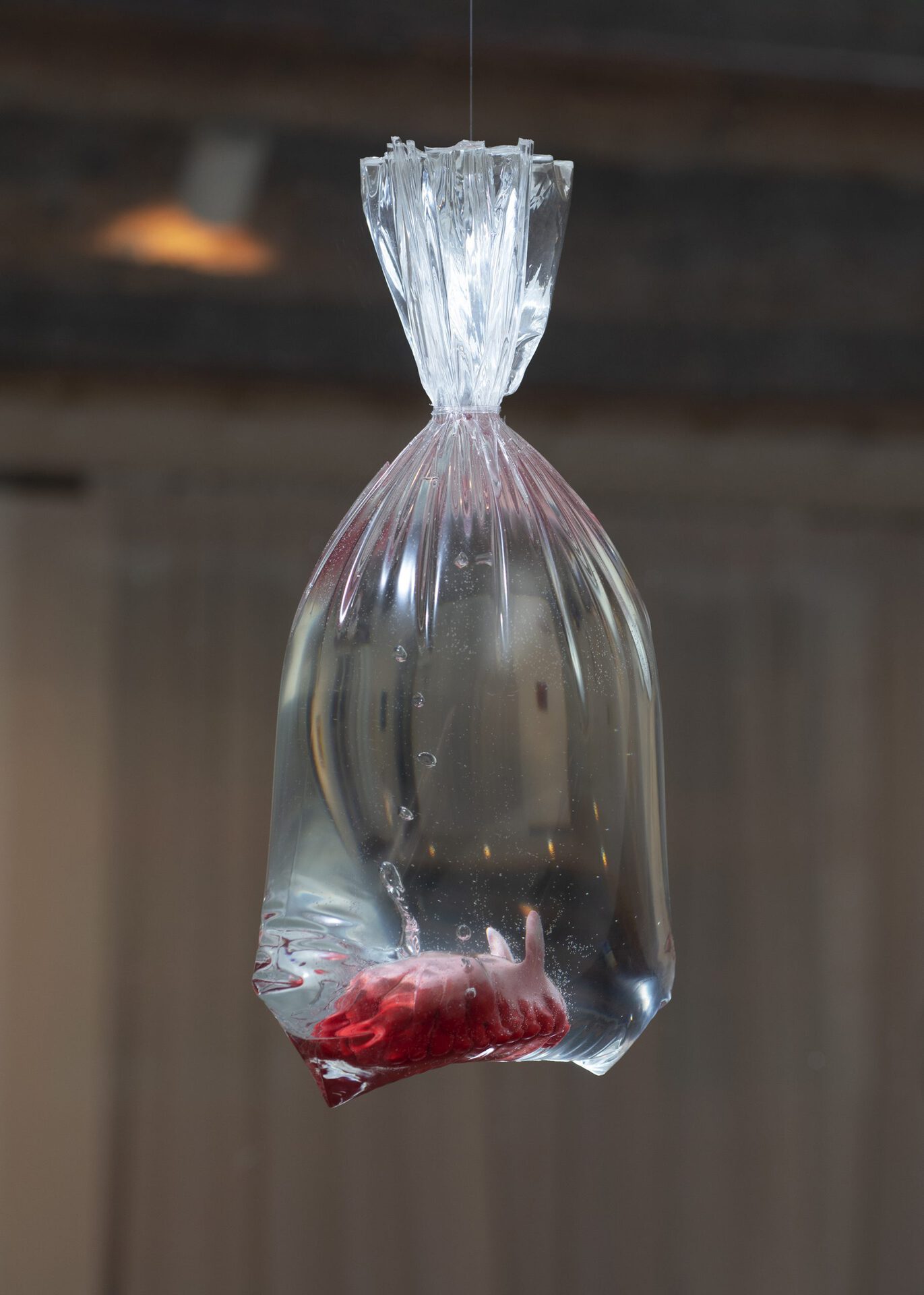 June Fischer, Plasticus, 2021, Porcelain, Epoxy resin, 15 x 27 cm