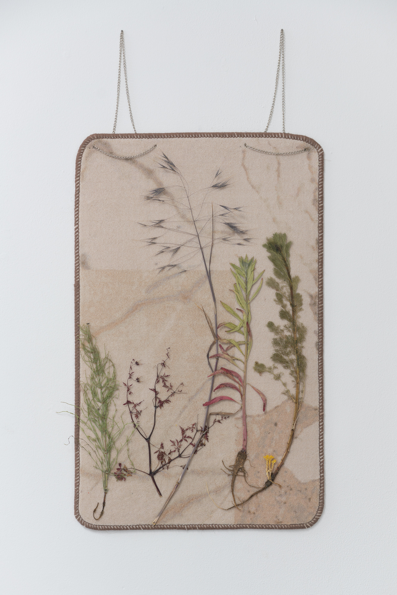 Jakob Forster, A quick burn‘s slow recovery heightened my senses heelwards. O blinded limping joy, 2021, pressed summer plants mounted on bathroom mat, 45 x 80 cm