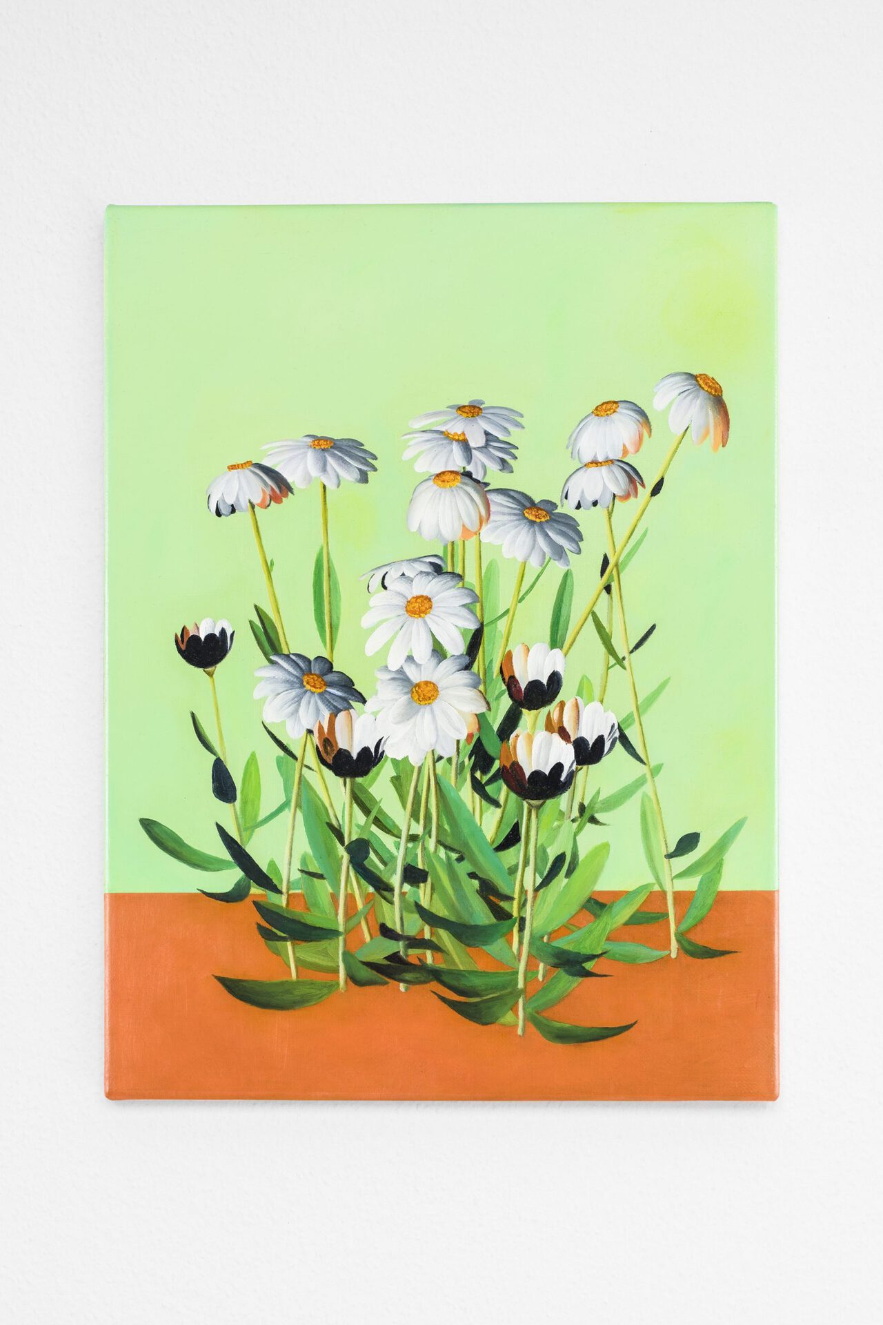 Marius Steiger, Orange Green Marguerite, 2021, Oil on Linen, 40 × 30 cm