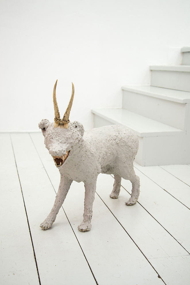 Nicolás Astorga, ALIMAÑA (VERMIN), 2020, upcycled fox taxidermy, deer horns, epoxy resin, 80 x 60 x 30 cm