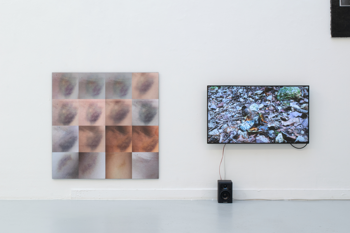 Aleksandra Saša Jeremić, Sommerhaus, 2020, Inkjetprints auf Fotopapier, MDF; Luis Kürschner, Dolor y gloria, 2021, Full HD Video, Farbe, Sound, 07:50 min