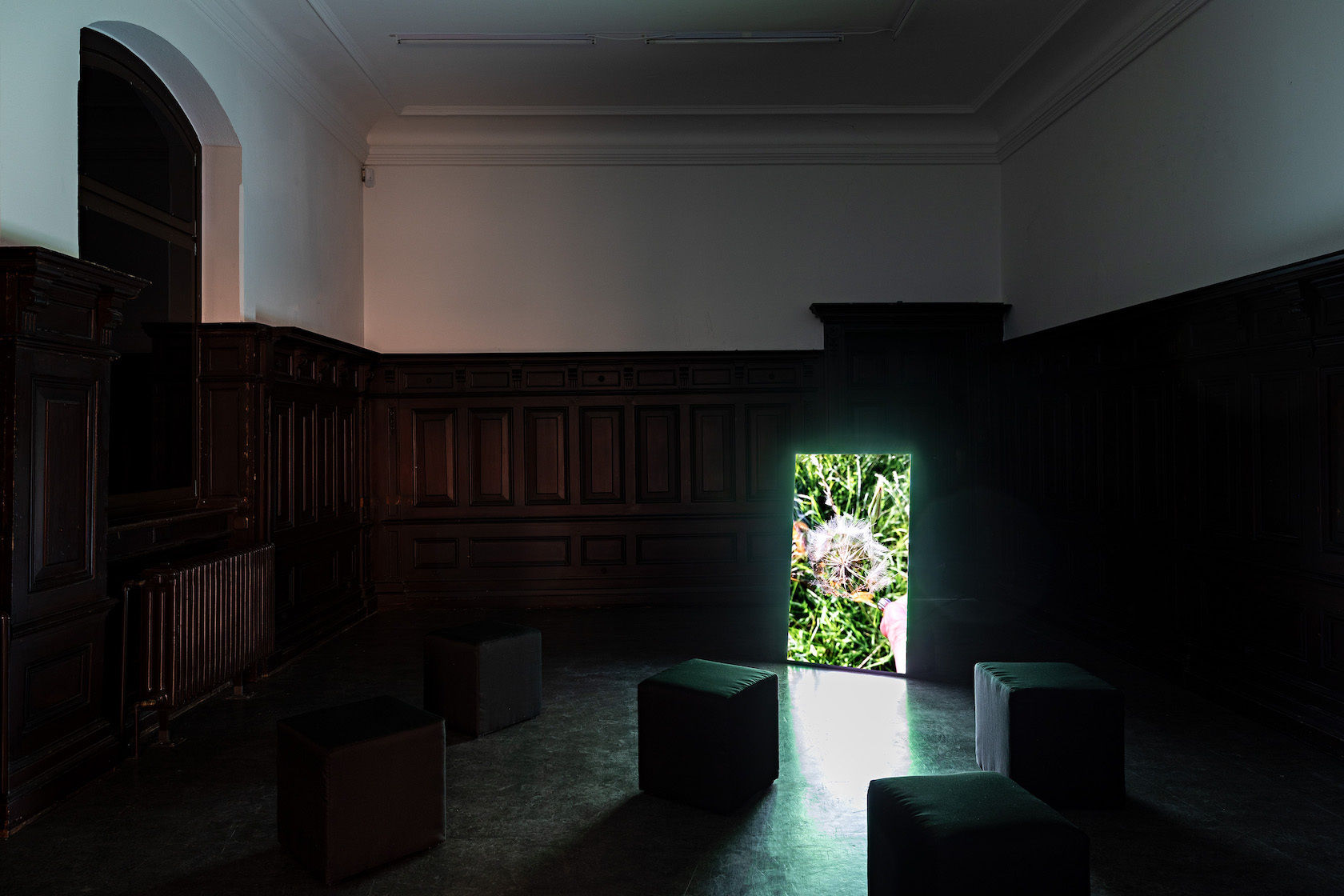 Katja Aufleger, I'm Angry, Just Not Sure About What, 2021, HD Video, 7 min. (looped)