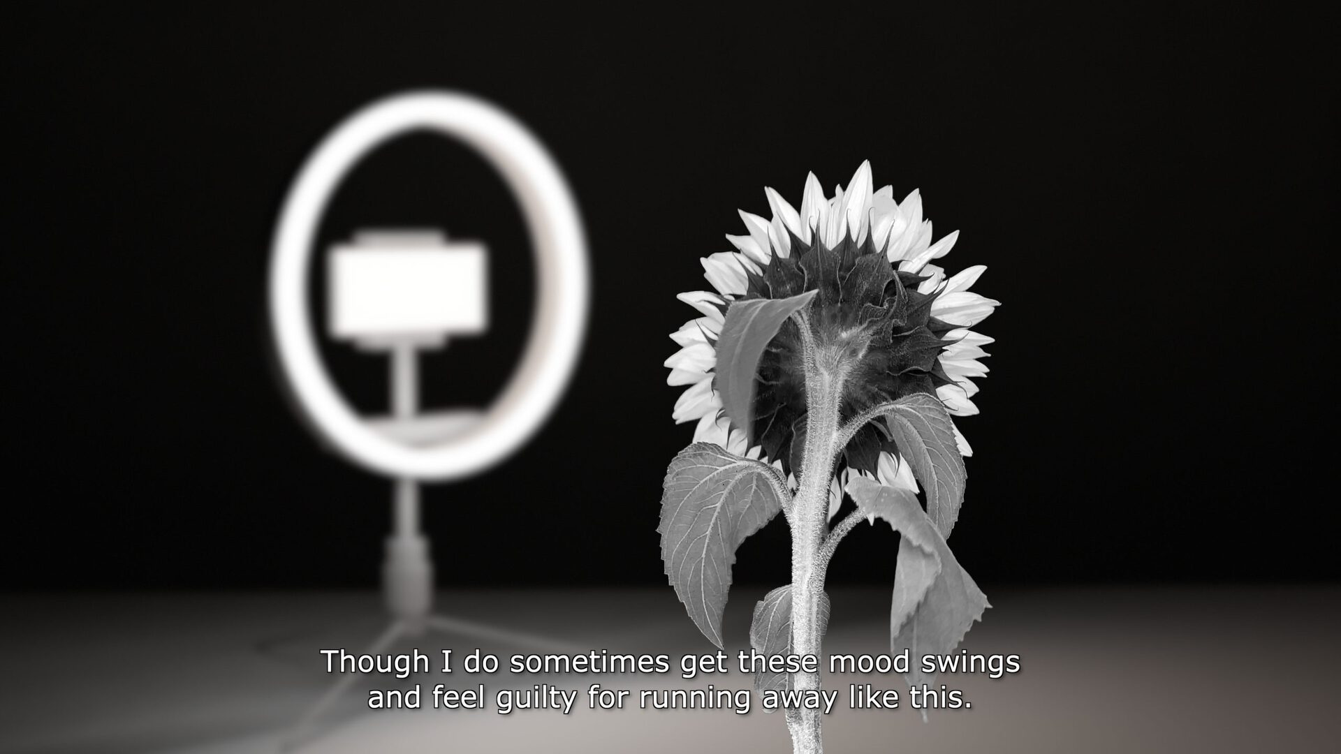 Tomas Sinkevičius and Viltė Bražiūnaitė, still from the video Sunflower, 2021, 4K video, sound, 12min37sec