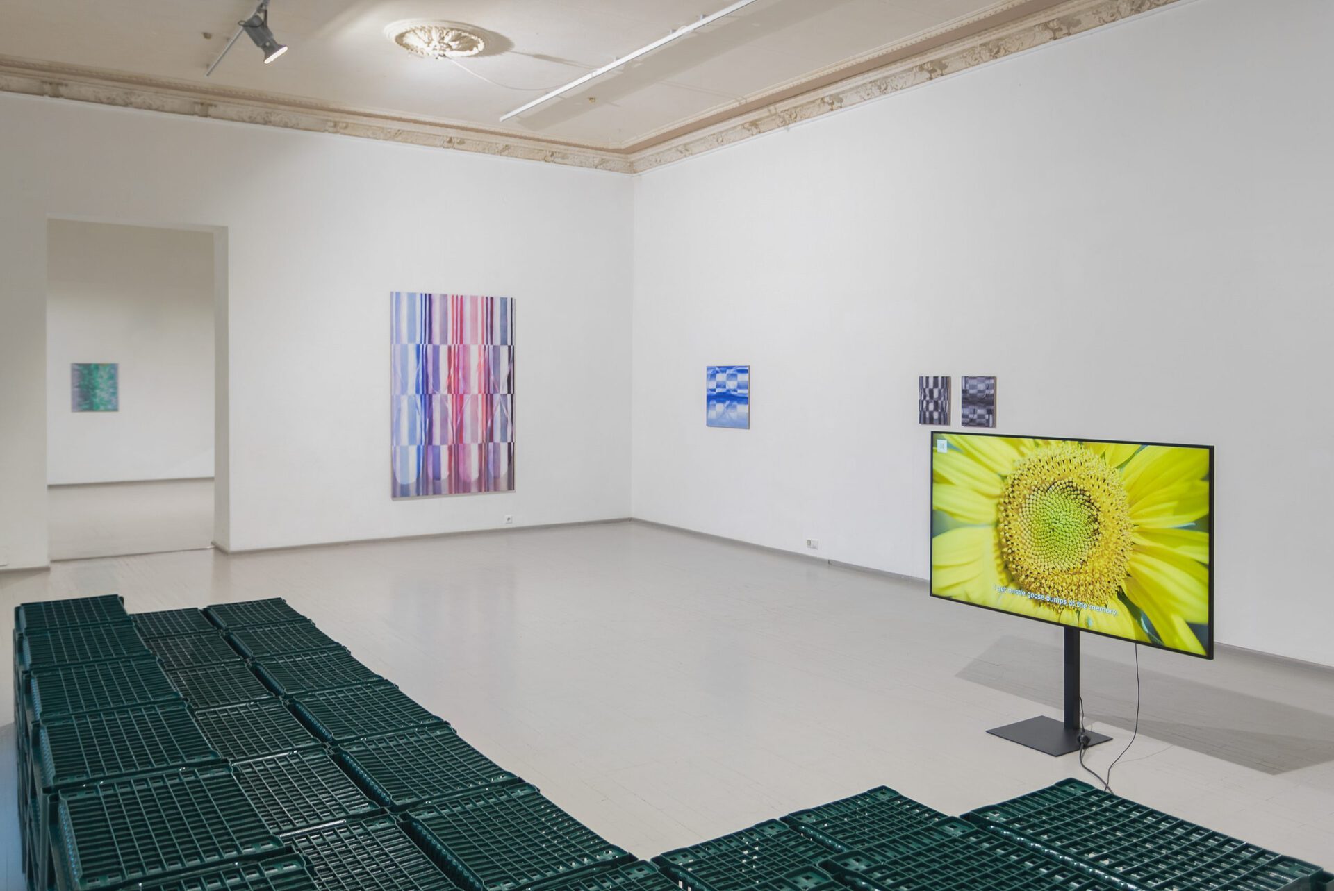 Vika Prokopaviciute, Tomas Sinkevičius and Viltė Bražiūnaitė, Odd Attractor, 2021, exhibition view, Galerija Vartai, Vilnius, Lithuania