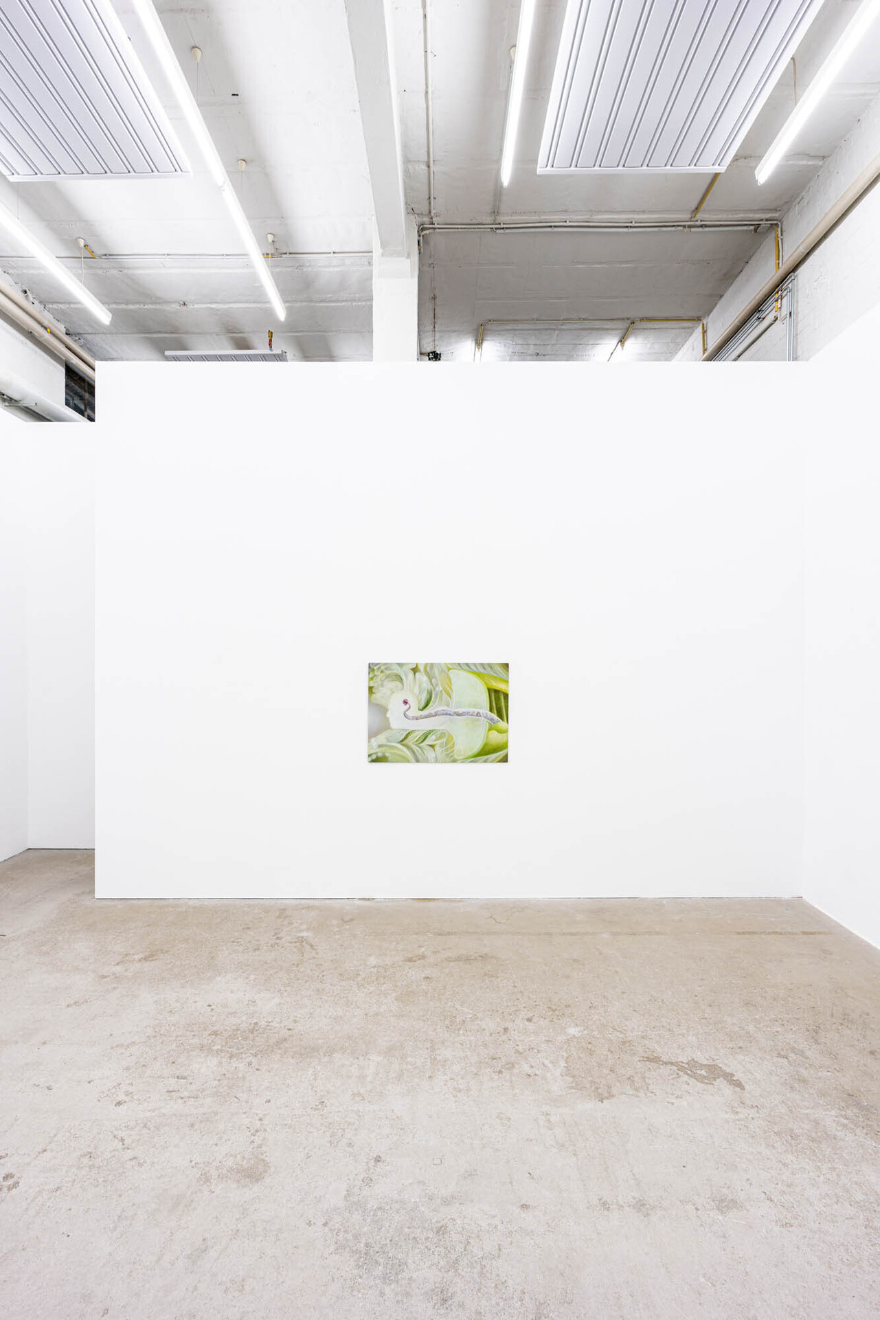 Installation view: Sarah Księska, ‘Kuriosum’, Galerie Tobias Naehring, 2021