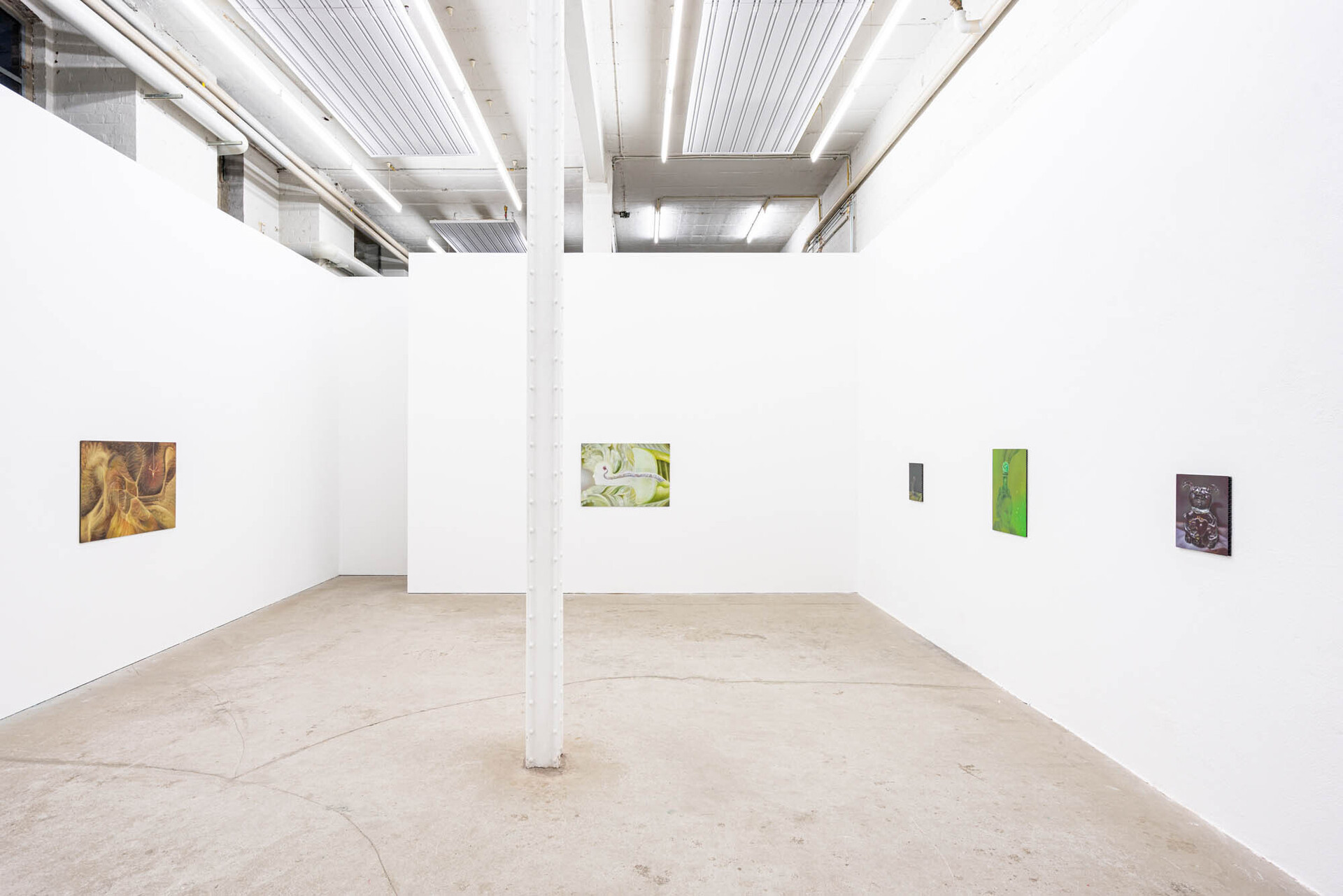 Installation view: Sarah Księska, ‘Kuriosum’, Galerie Tobias Naehring, 2021Installation view: Sarah Księska, ‘Kuriosum’, Galerie Tobias Naehring, 2021