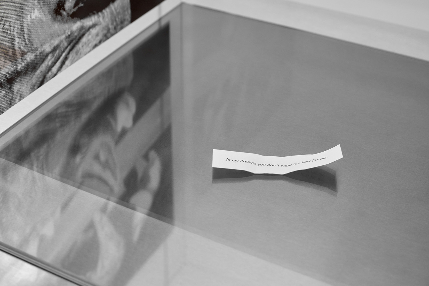 detail, soft sorrow (in my dreams)