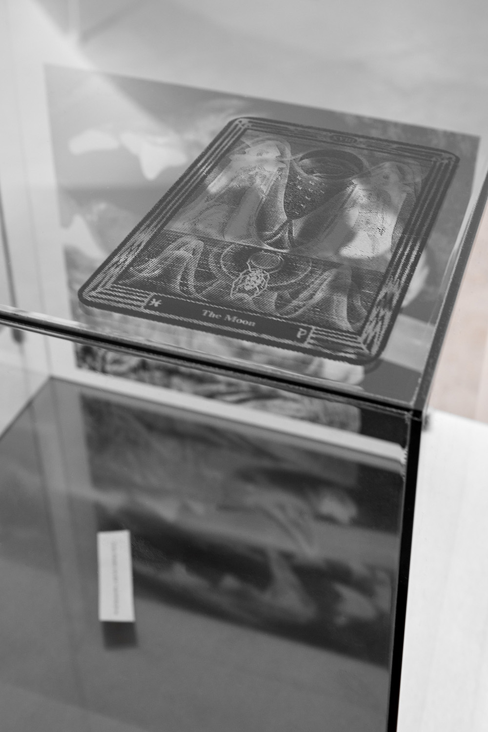 detail, soft sorrow (in my dreams)