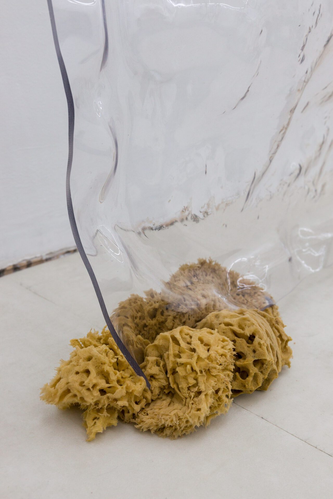 Karolina Mełnicka, Series: Purity Standards I Sculpture from a pile of clothes I don't wear, plastic, dead sponges, 2019