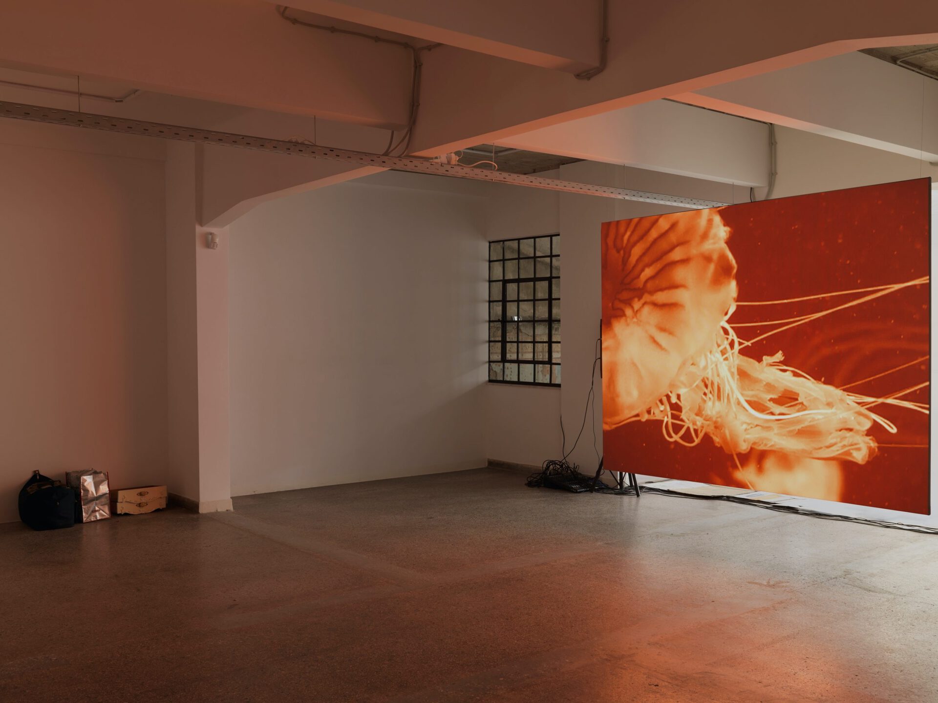 Left: Iris Touliatou (with Panos Fourtoulakis and Titus Nouwens), What we had expected and for how long, 2021, Negotiations, objects, previous work, dimensions variable. Middle: Christian Friedrich, Untitled, 2008, SD video, color, sound, continuous play, 10 minutes, 2 seconds. Right: Christian Friedrich, Untitled, 2010-11, SD video, color, silent, continuous play, 15 minutes, 22 seconds