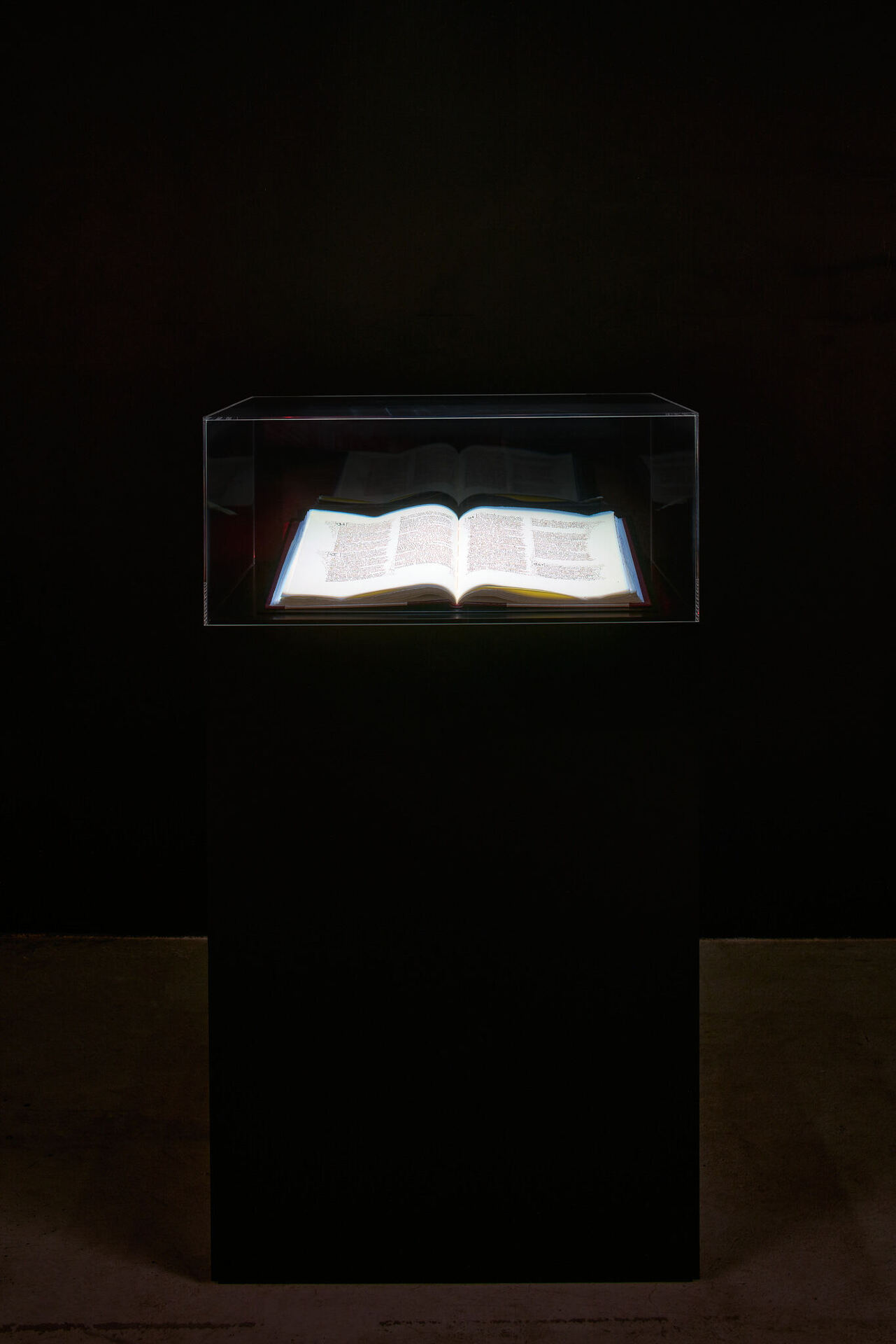 Tea Strazicic, Nicholas Zhu, D. Dukat, calligraphy Jean-Baptiste Normand Vermillion, 2021 ink on paper 50 x 32.5 x 3 cm, display/ 149 x 83 x 67 cm