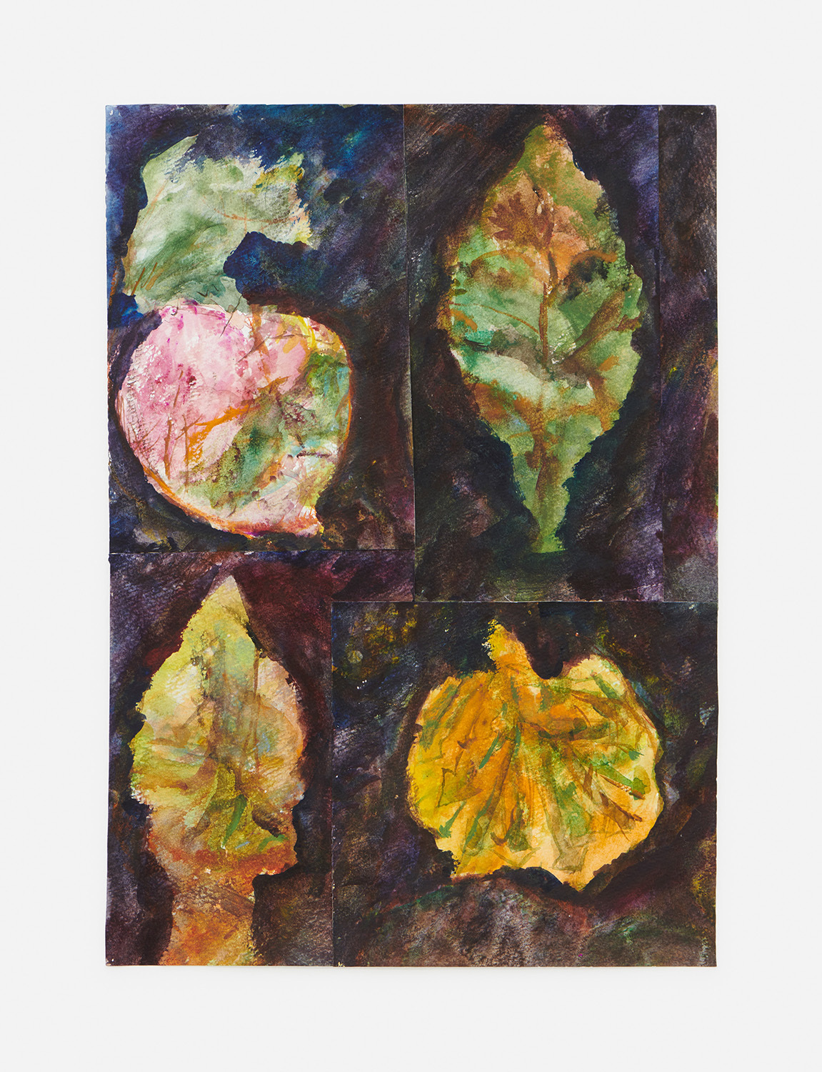 Yuji Nagai, Turnip 1/2, 2020. Watercolor on paper, 32.5 x 23 cm