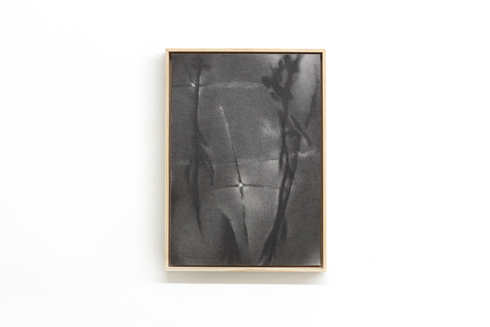 Hojeong Lee, Garden, 2021, Graphite on Paper, 29.7x21 cm