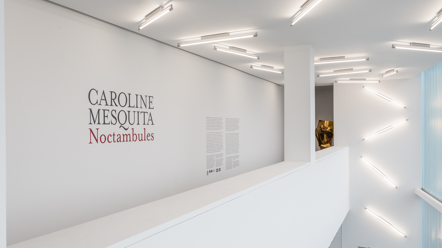 Caroline Mesquita, Noctambules-Title Wall, 2021, Mixed Media, Dimensions varied, Installation View, Blaffer Art Museum