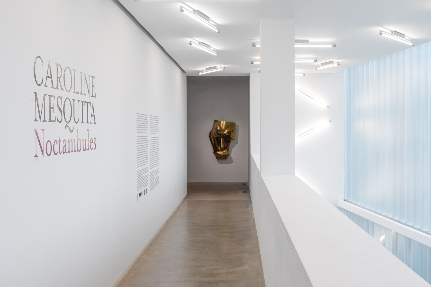 Caroline Mesquita, Noctambules-Intro, 2021, Mixed Media, Dimensions varied, Installation View, Blaffer Art Museum