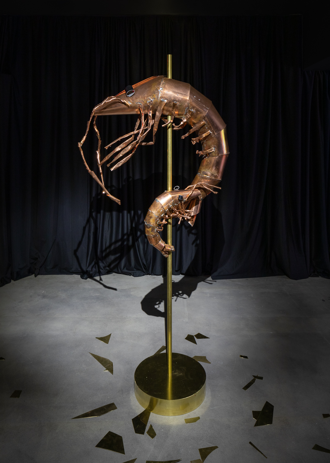 Caroline Mesquita, Noctambules-Prawn, 2021, Mixed Media, Dimensions varied, Installation View, Blaffer Art Museum