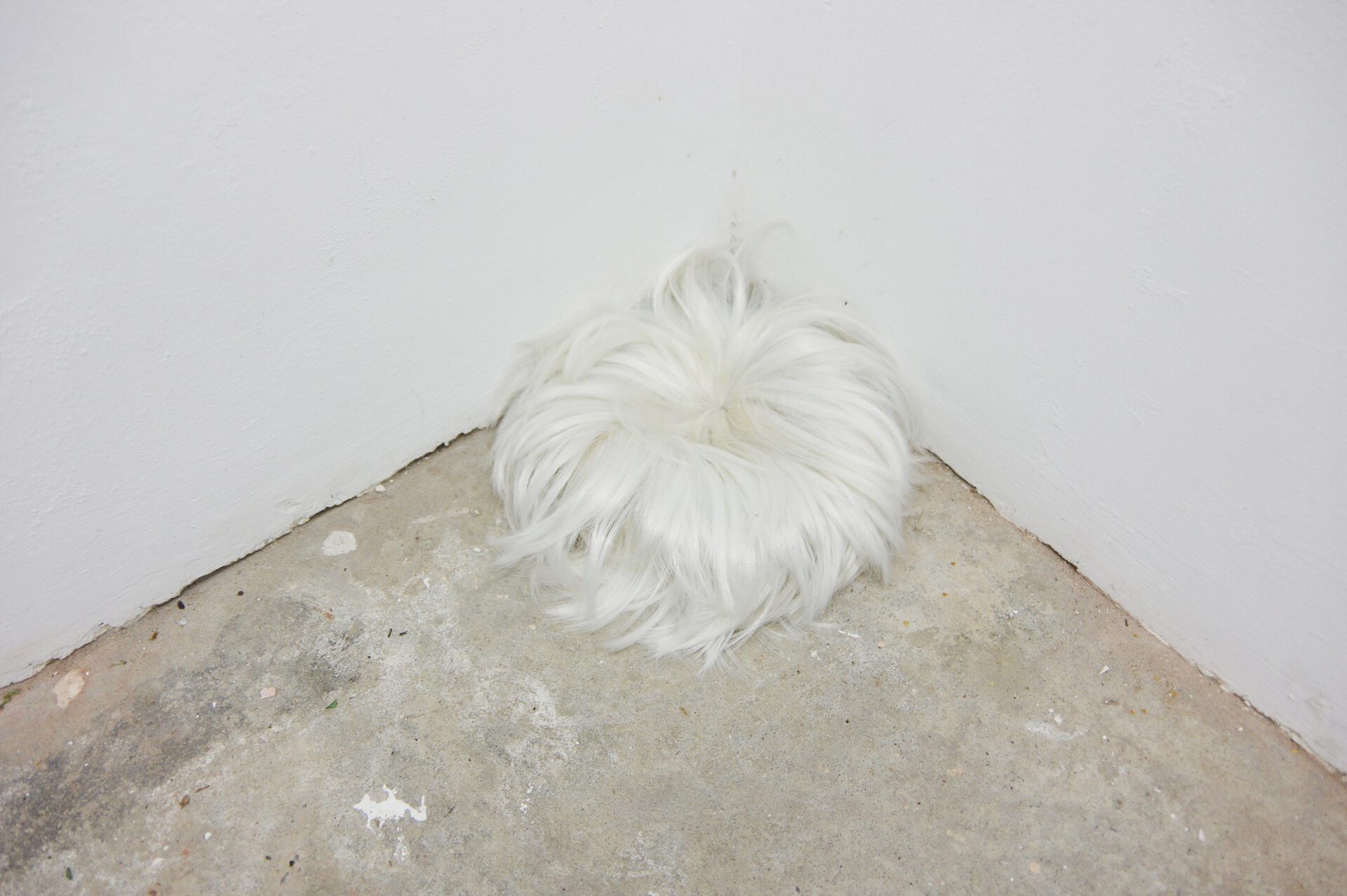 Cole Denyer, Blue Labour, 2022, Installation view 4