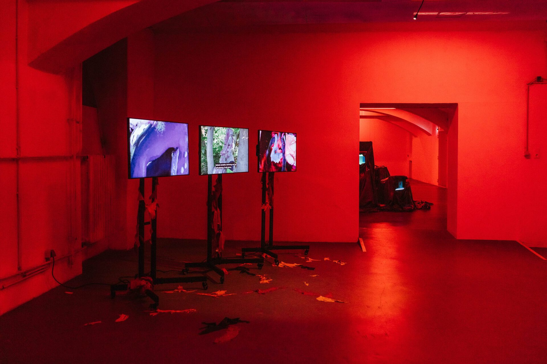 “connections unplugged, bodies rewired”, Installation view, 2021/22, das weisse haus, Vienna [Photo: Theresa Wey]