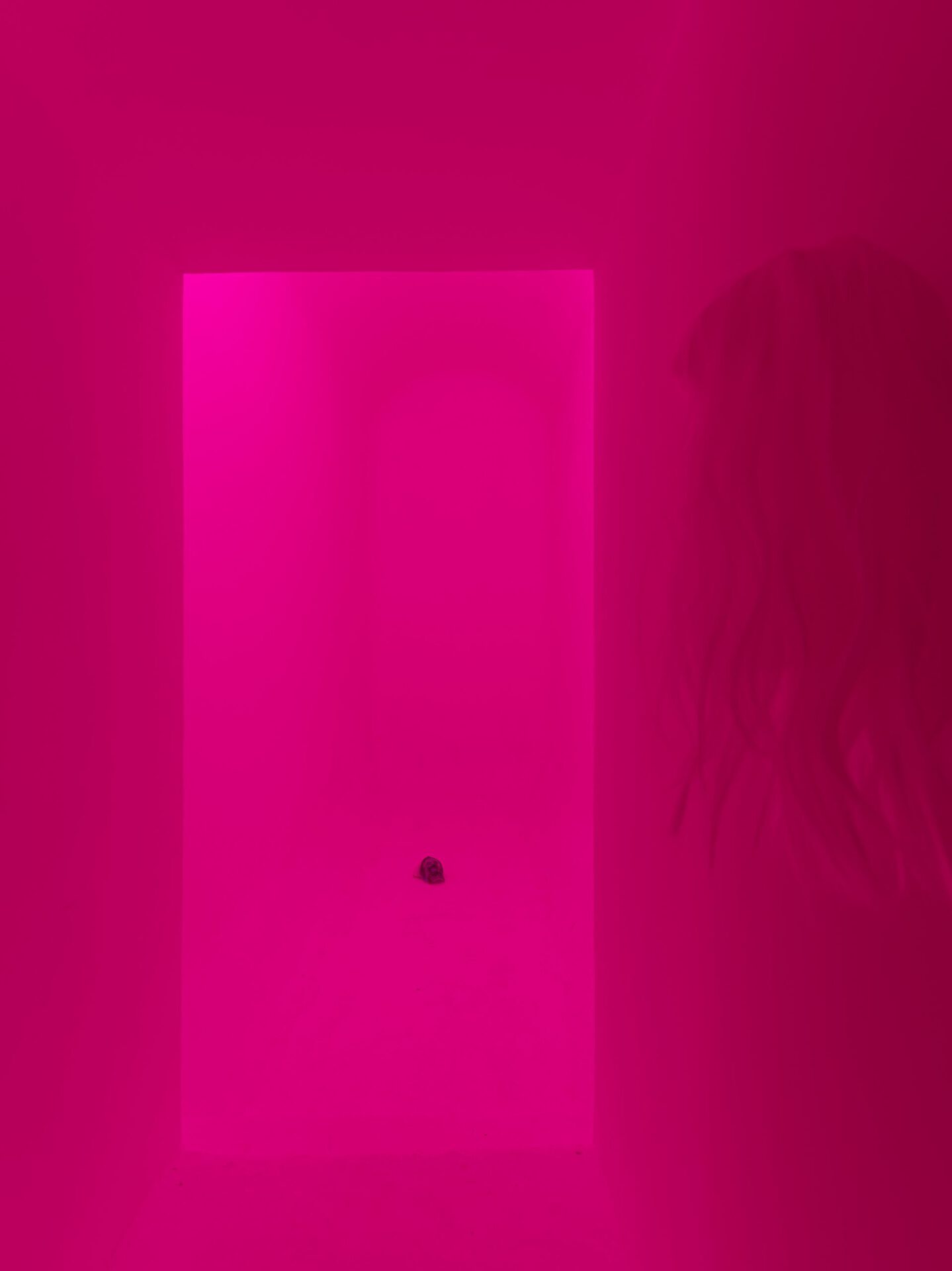 POV (You're my leftovers and I am happy to see you) Catherine Biocca Curated by Lorenzo Benedetti From 14 December 2021 to 11 February 2022  Tuesday to Friday from 17:00 to 19:00 Fondazione VOLUME! via di San Francesco di Sales 86/88, Rome