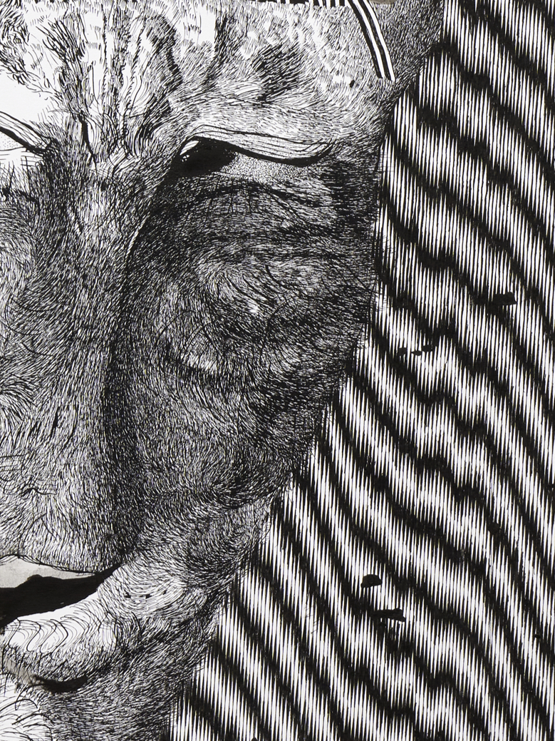 Katharina Schücke, Persevelle, 2021, ink drawing, detail
