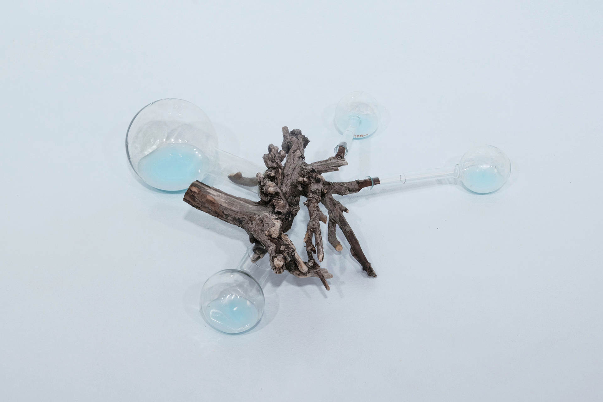 Anastasia Savinova, We Swim in One Water, act IV, ocean blue / 2021 / root, glass, liquid soap