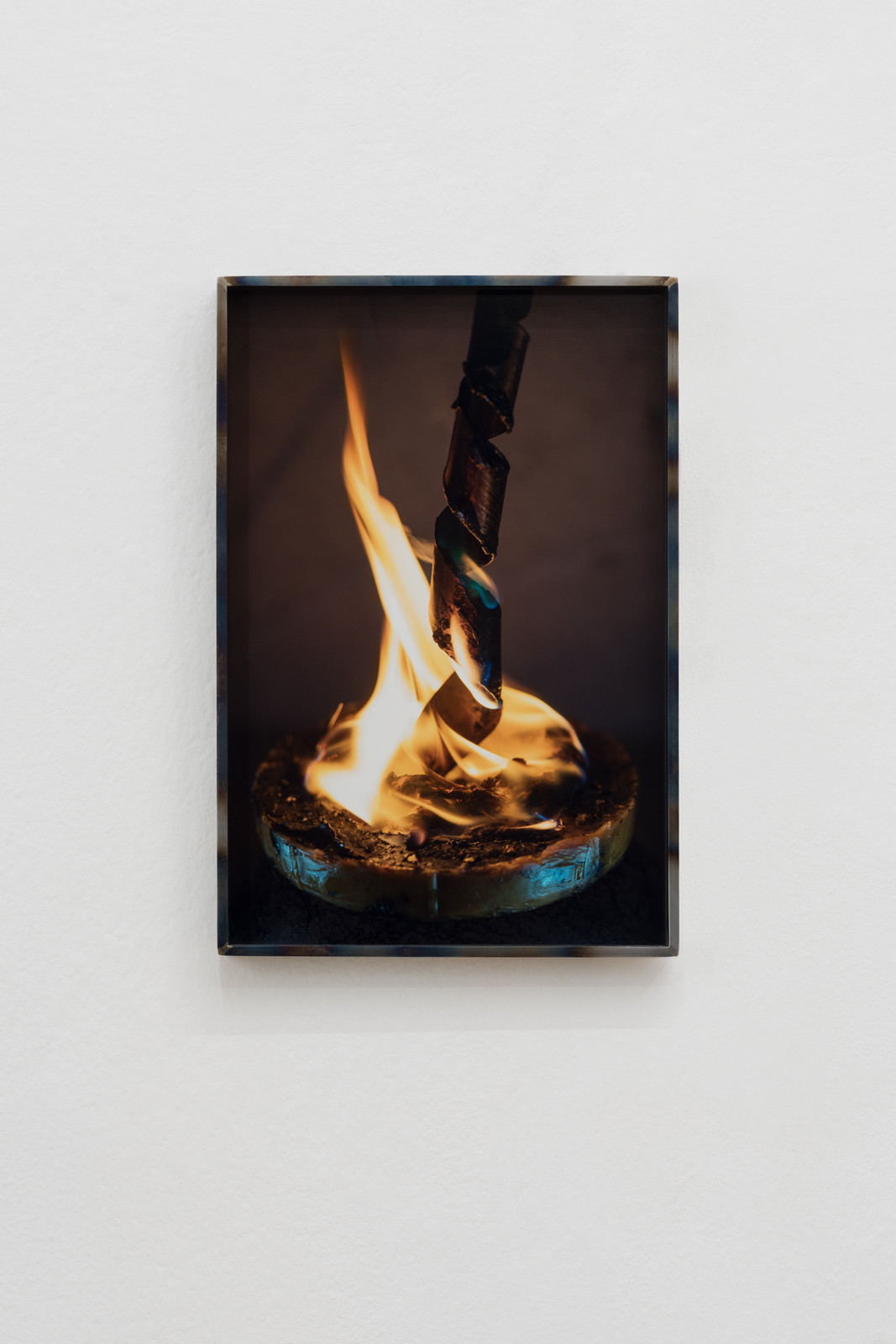 Diane Severin Nguyen  Wilting Helix , 2019 LightJet C-print, metal frame, 38,10 × 25,40 cm Edition 3/3 + I AP  Courtesy: the artist and Bureau, New York