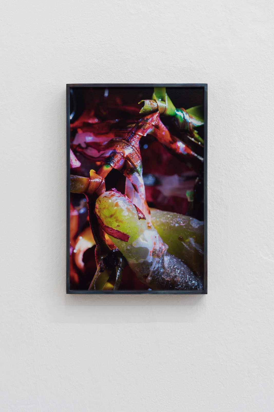 Diane Severin Nguyen  If Revolution is a Sickness, 2020 LightJet C-print, metal frame,38,10 × 25,40 cm Edition 1/3 + I AP  Courtesy: the artist and Bureau, New York