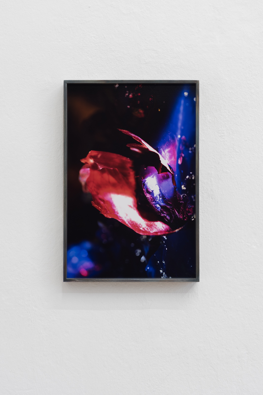 Diane Severin Nguyen  Feel how your breath enlarges all space, 2019  LightJet C-print, steel frame, 38,10 x 25,40 cm  Edition 1/3 + 1 AP  Courtesy: the artist and Bureau, New York