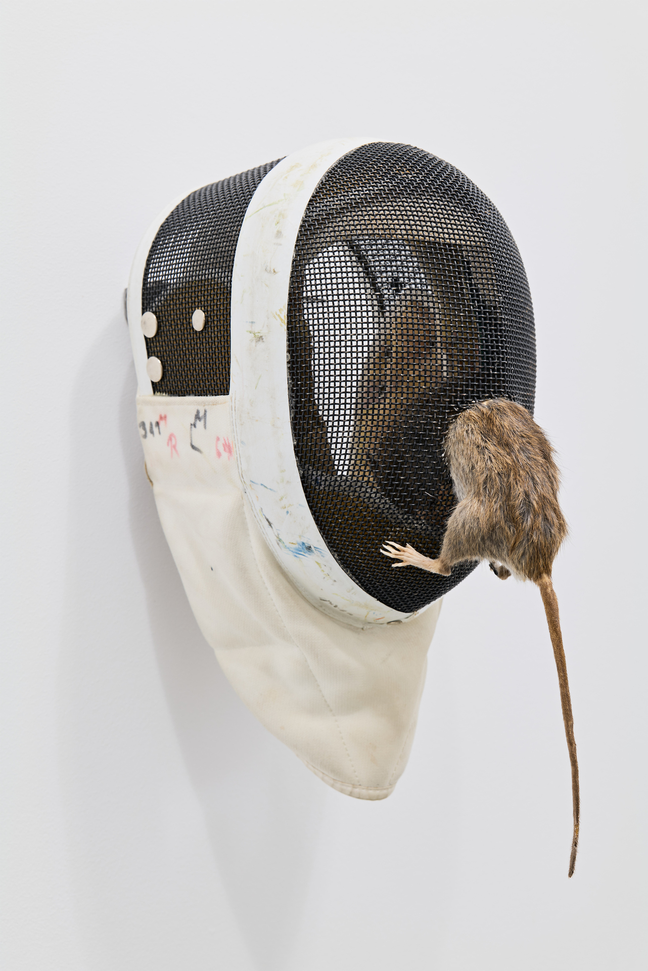 Billie Clarken, „The Hard Road (species-essence)“, 2018, Fencing helmet, Taxidermy, 38 x 19 x 35 cm