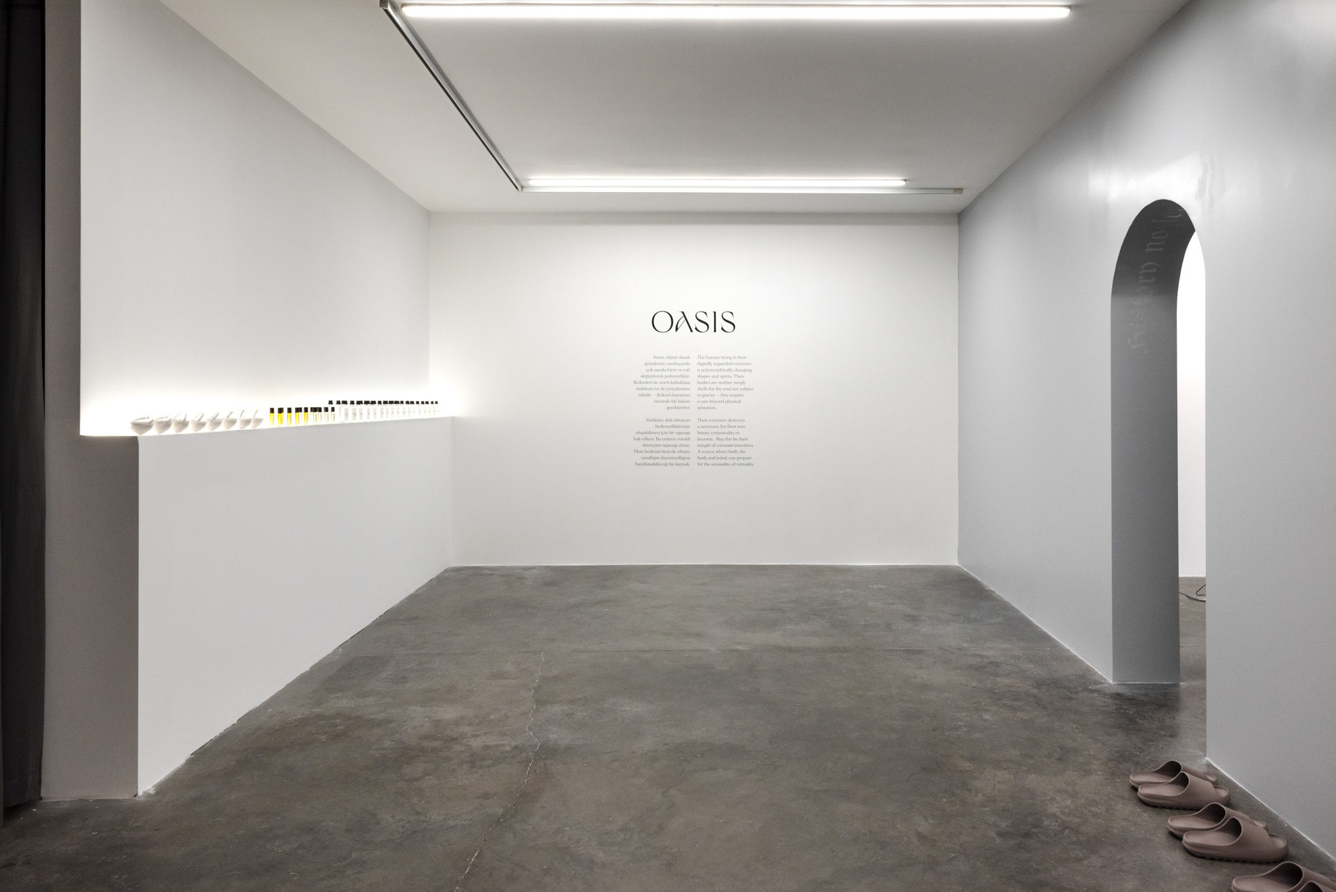 Christiane Peschek, OASIS shop, 2022, SANATORIUM