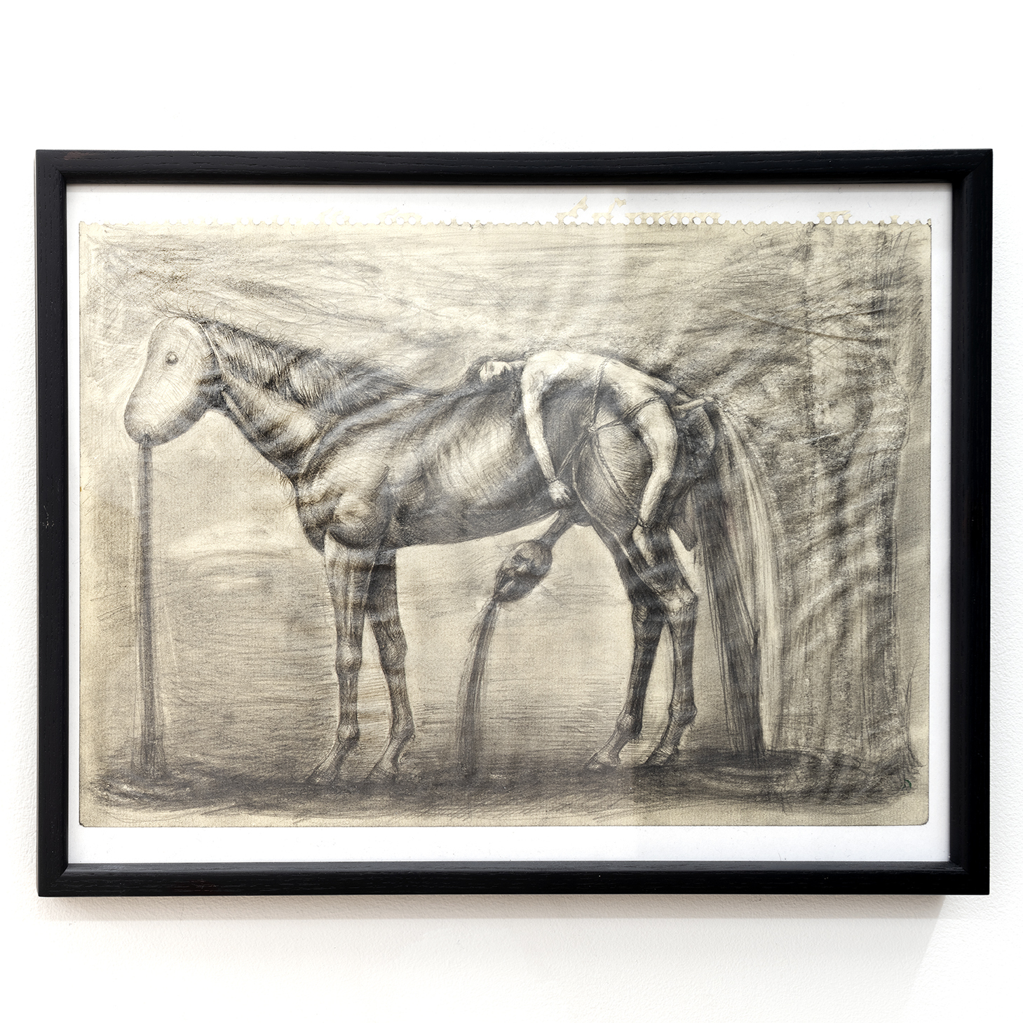 Shogo Shimizu, Mazeppa, 2021, graphite on paper, 12 x 15½ x ½ in. (framed)