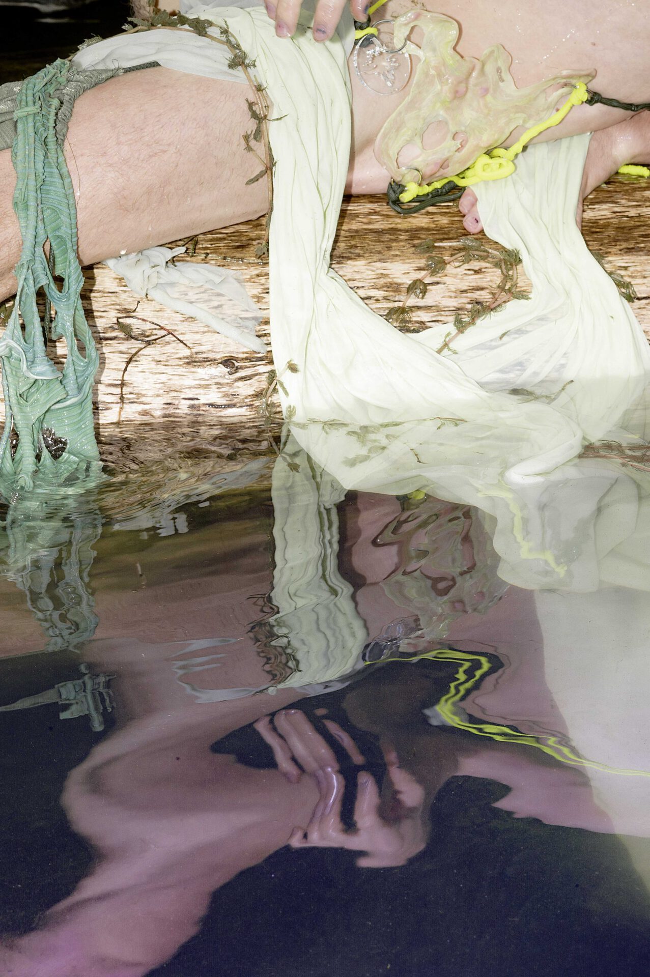 Valentino Skarwan, Seaherbs and Lubrication, (Pond Life and the Origin of Oxygen), Performance, Lobau