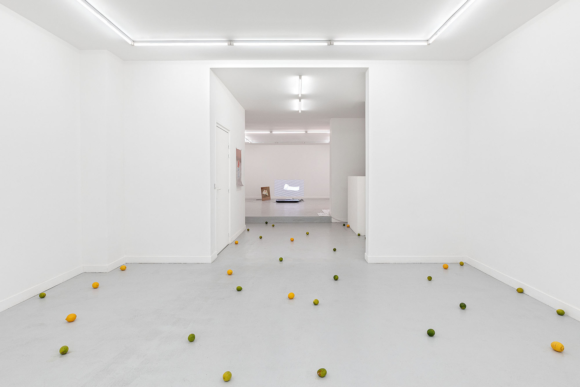 Untitled (Rain), 2019 - 2022, plastic bottle, water, plastic chair, lemons, limes, variable dimensions