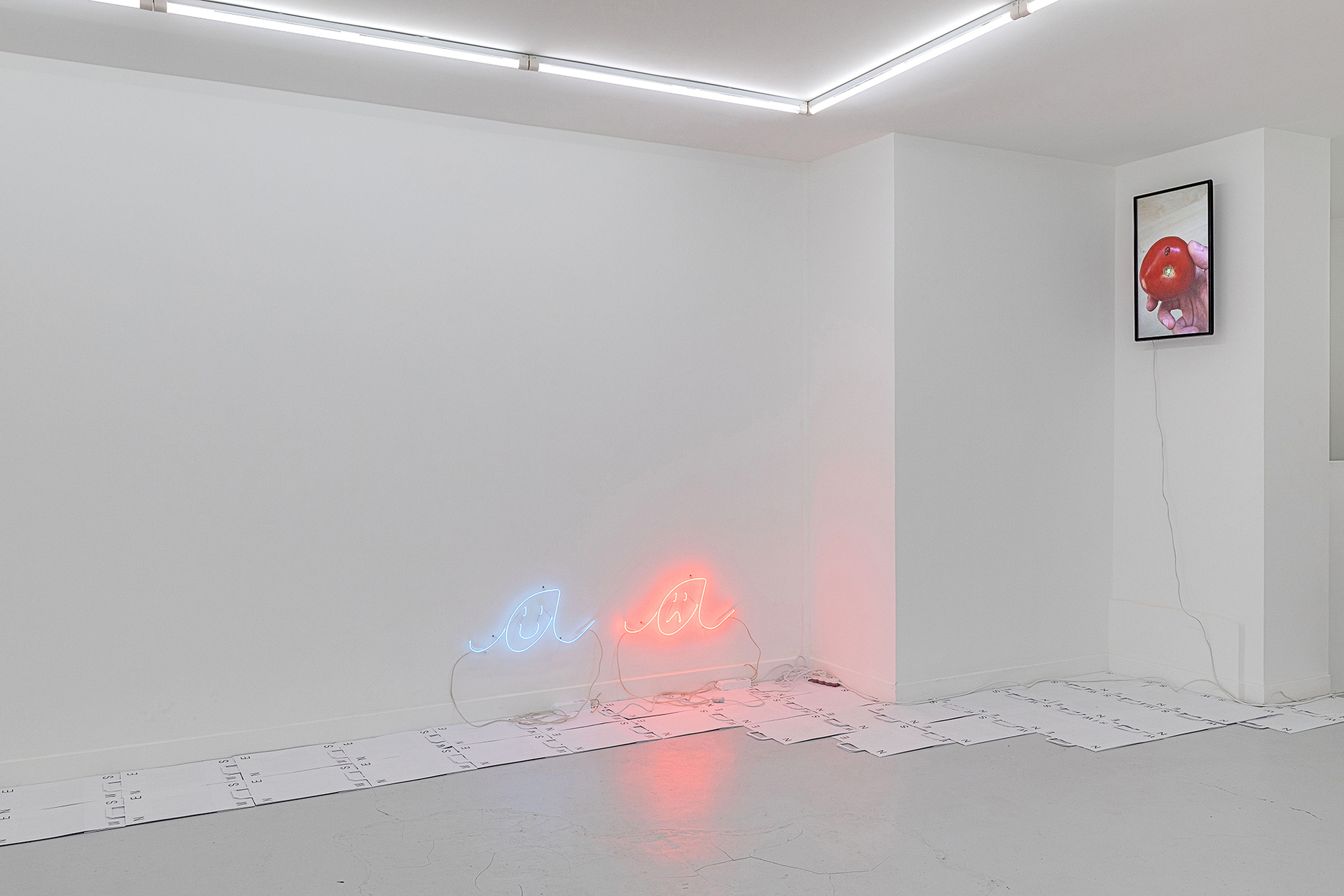 Left: Sad a, happy a, 2018, 2 neons, transformers, electrical cables, 27 x 60 x 5 cm each Right: Red planet, 2019, looping video on TV screen, 56 seconds, with sound