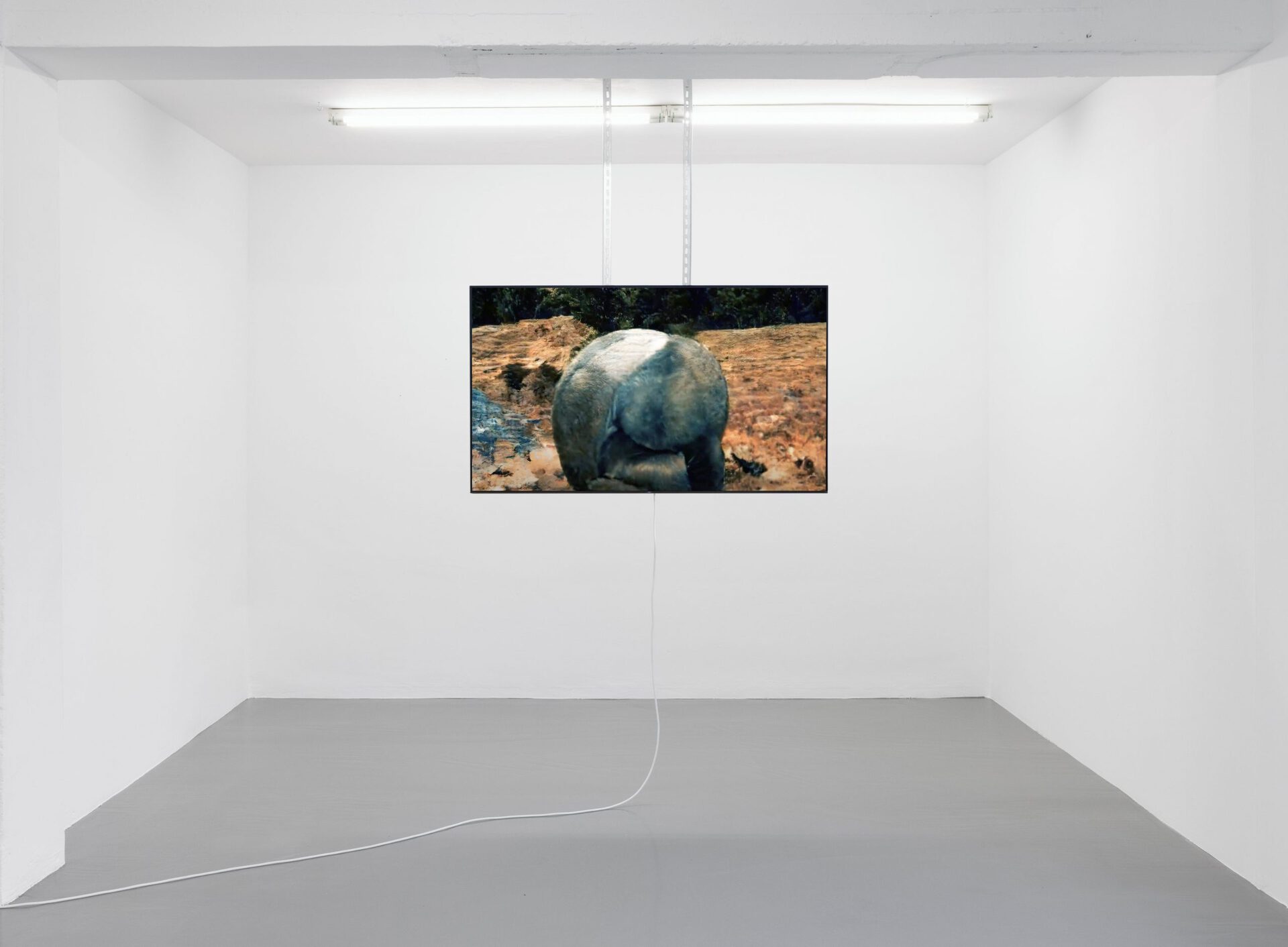 Max Kreis, I don´t listen to the news no more, exhibition view 1, MARTINETZ, 2022