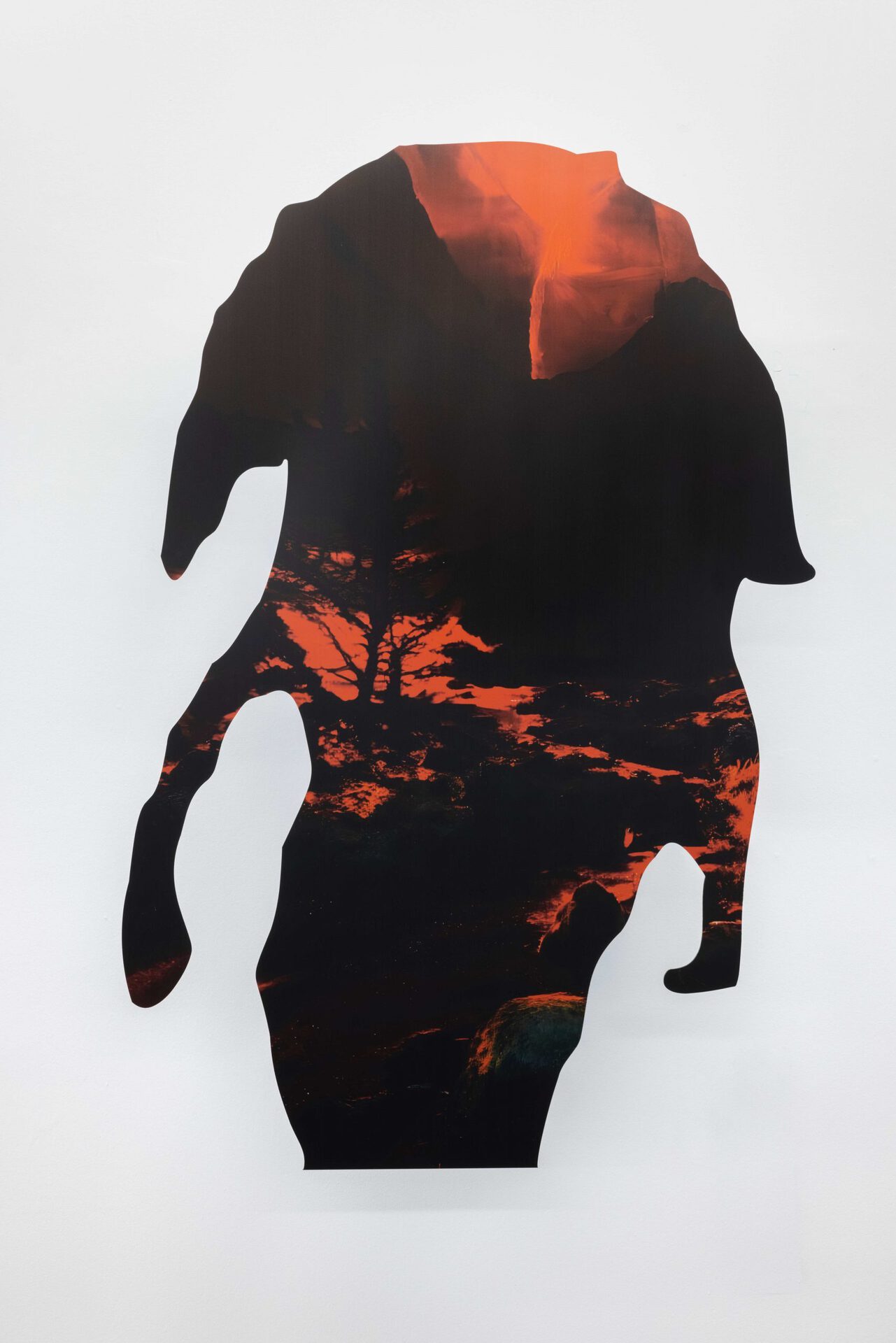 Max Kreis red_dog, 2022 UV print on Alu-Dibond, custom shape on screen mount 140 × 90 cm