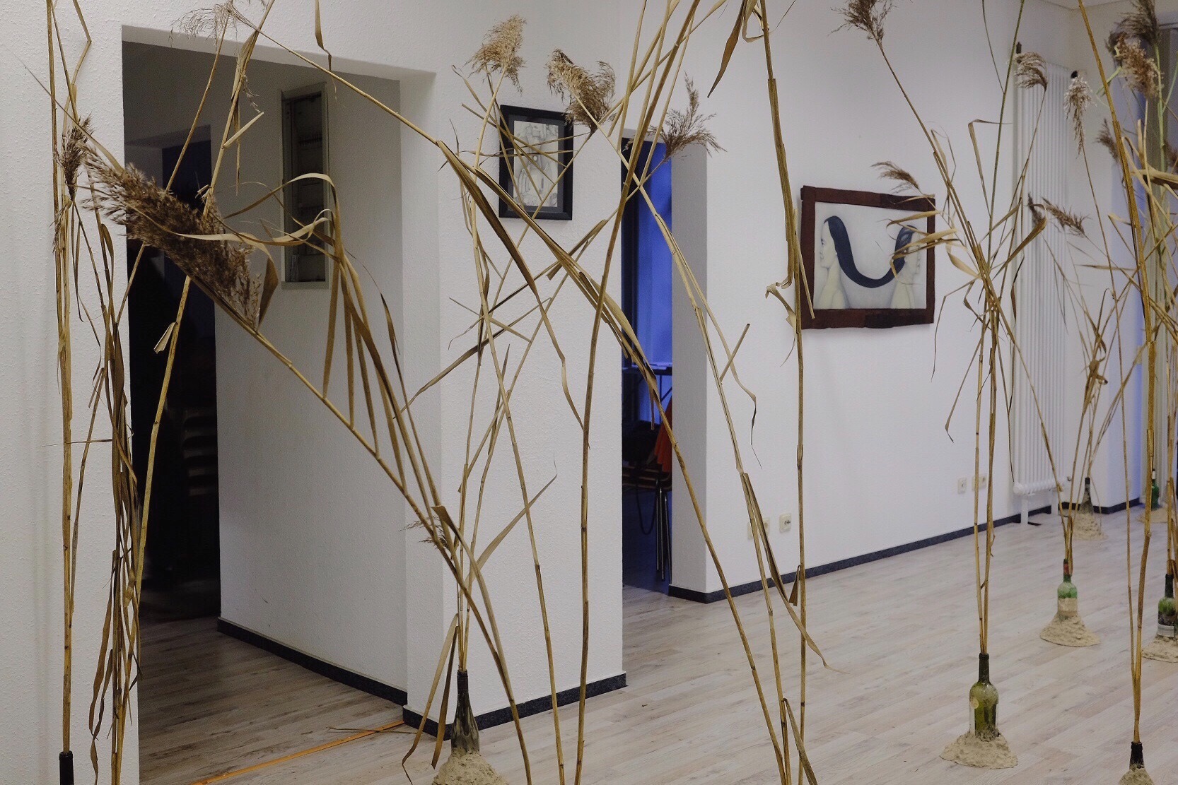 Installation view, 30 concreted wine bottles with reed distributed in the exhibition space
