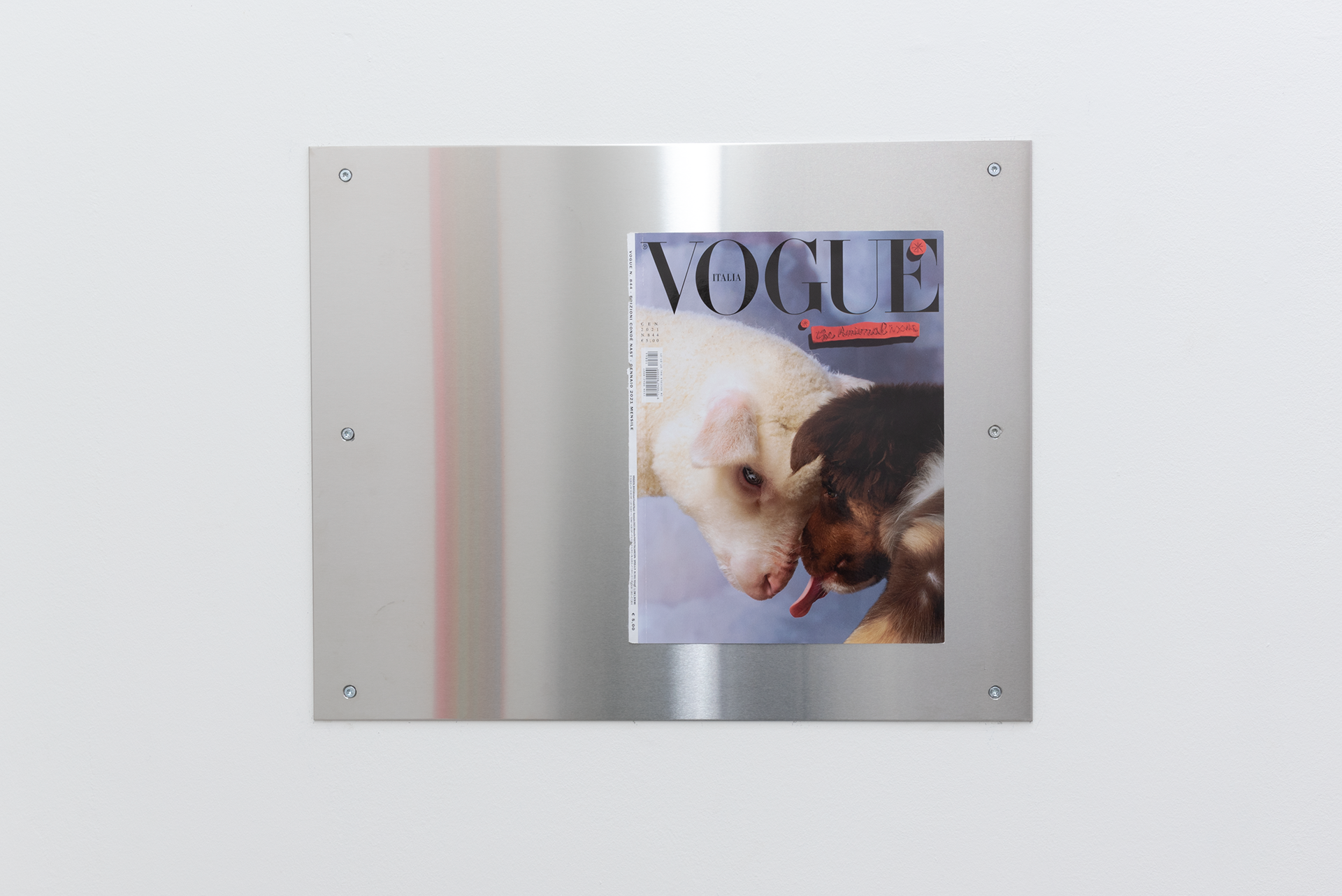 Wisrah Villefort. Lamb and dog, 2021. Magazine cover, polished stainless steel, 50 x 40 x 0.2 cm.