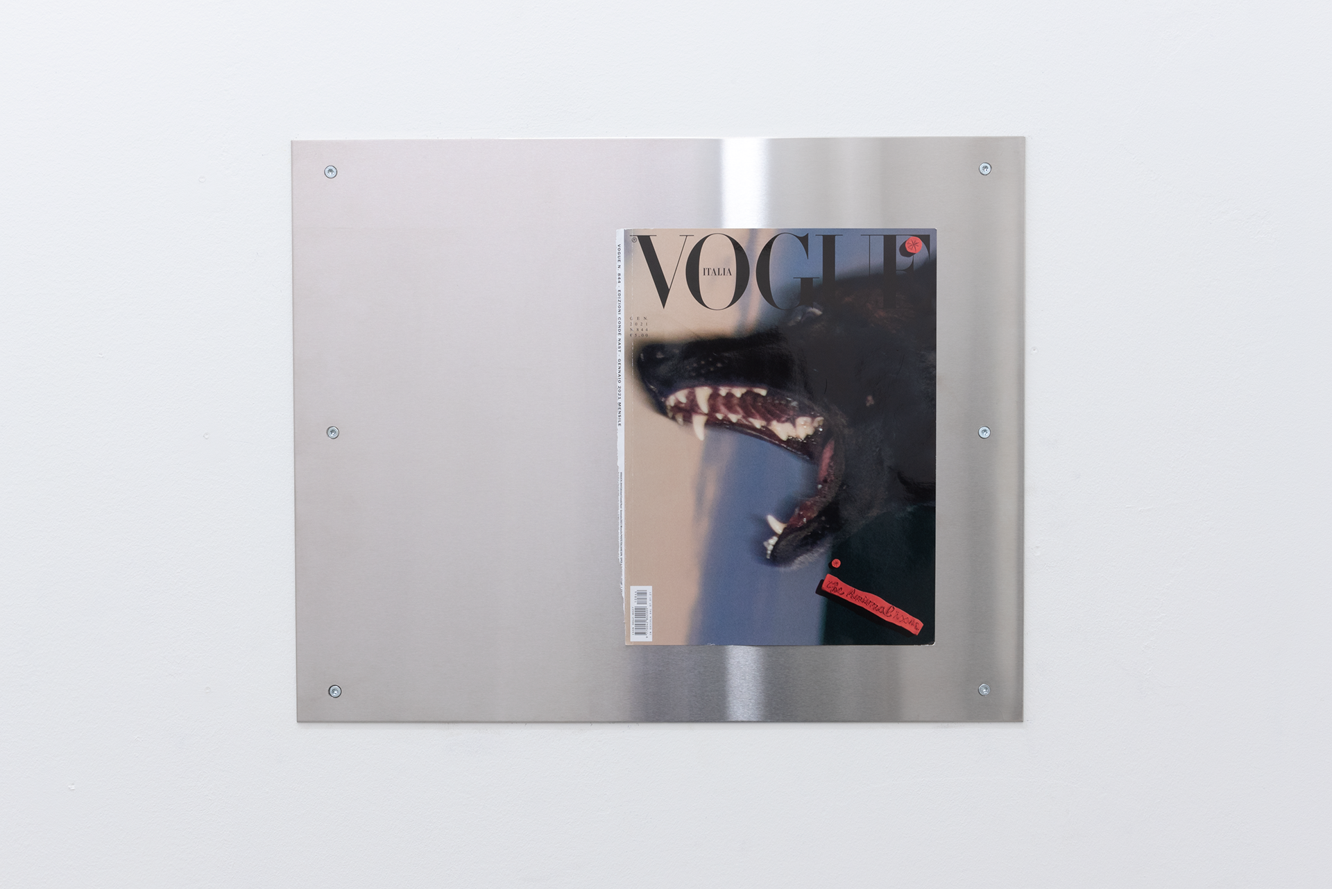 Wisrah Villefort. Dog, 2021. Magazine cover, polished stainless steel, 50 x 40 x 0.2 cm.