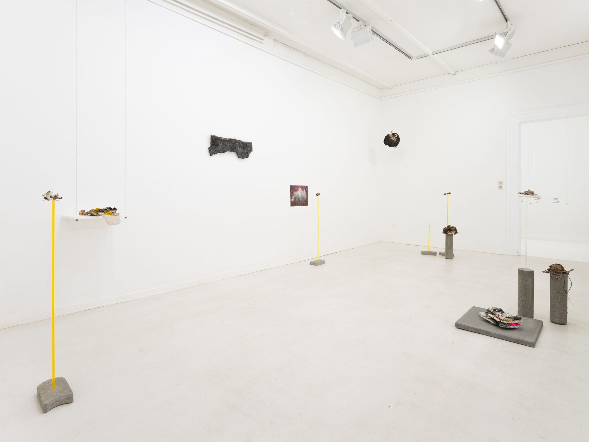 Silvia Noronha Shifting Geologies (2020 – ongoing) Site-specific installation