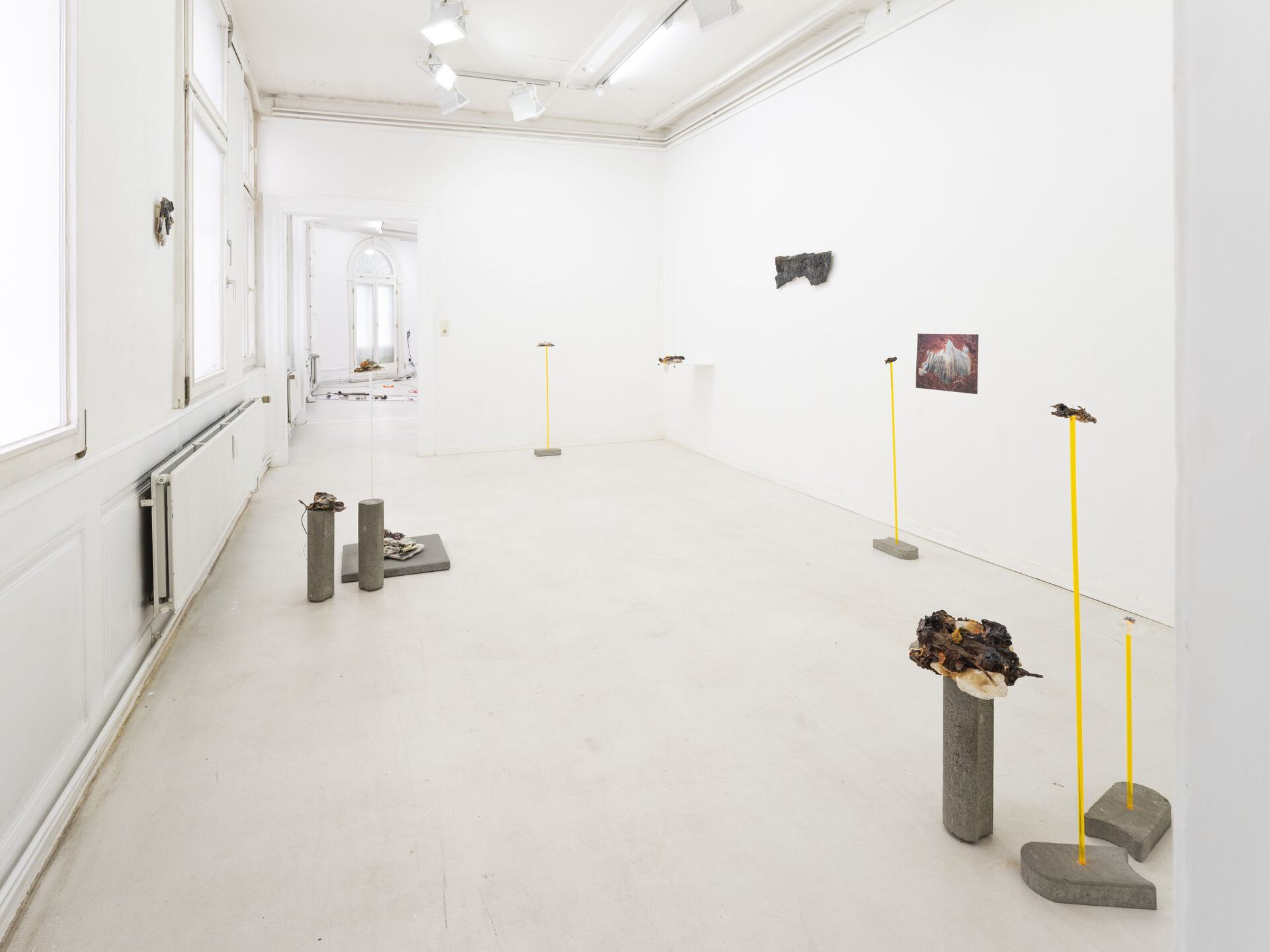 Silvia Noronha Shifting Geologies (2020 – ongoing) Site-specific installation