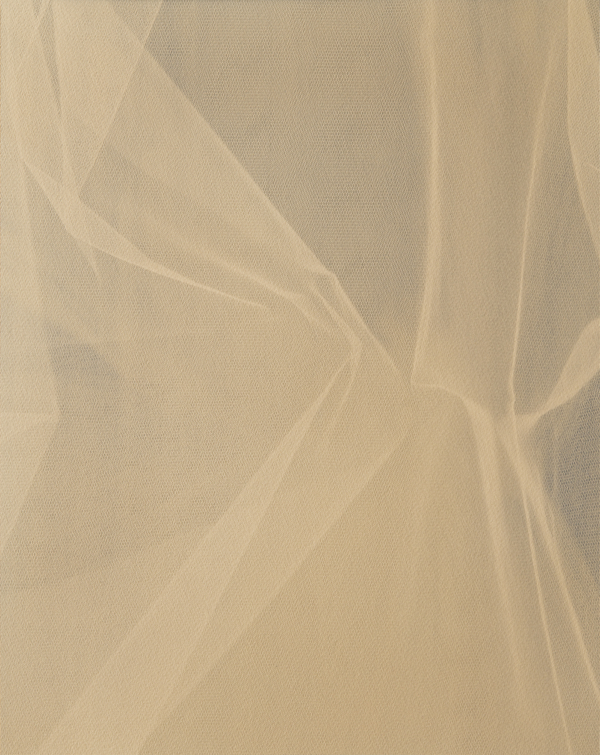 Berit Schneidereit, behind all things, 2021, cyanotype on archival paper, 41,5x33cm