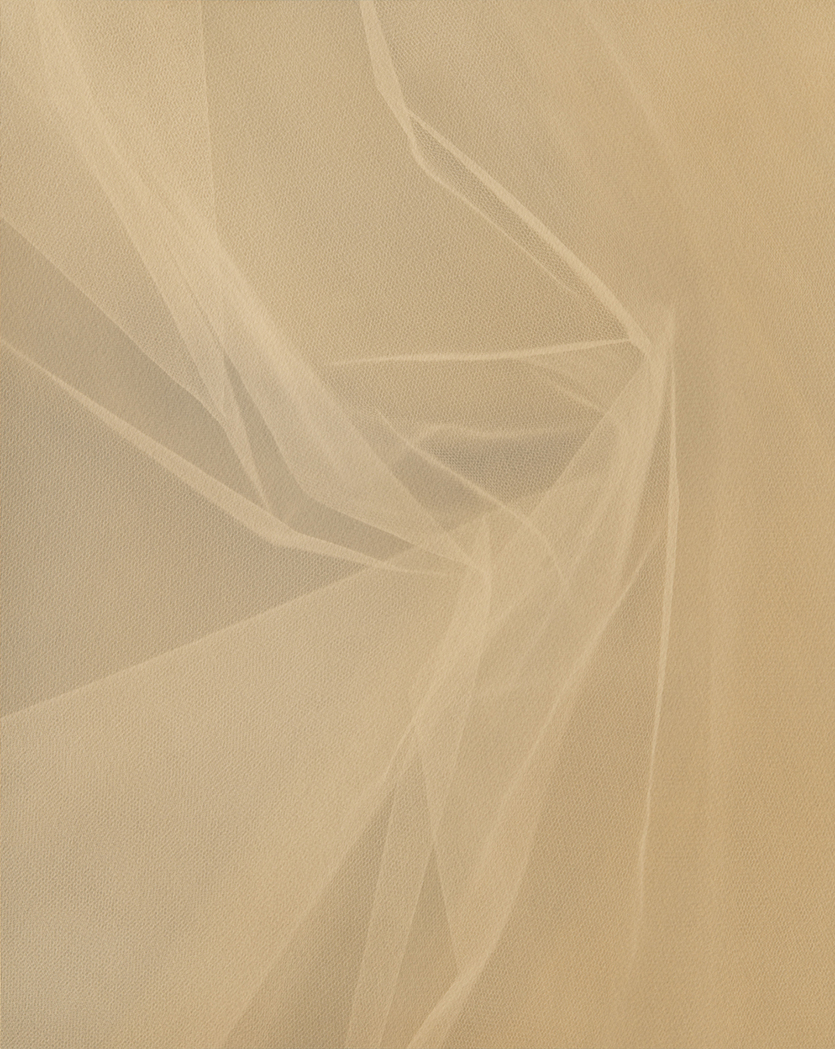 Berit Schneidereit, some ones, 2021, cyanotype on archival paper, 41,5x33cm