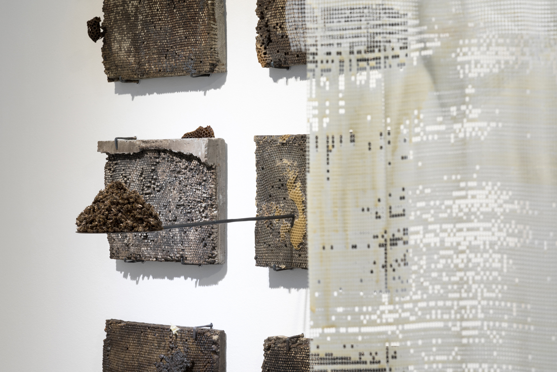 Michał Smandek,Seele des Bienenstocks, 2021, Beton,Bienenwachs, handgefertigte Stahlnägel